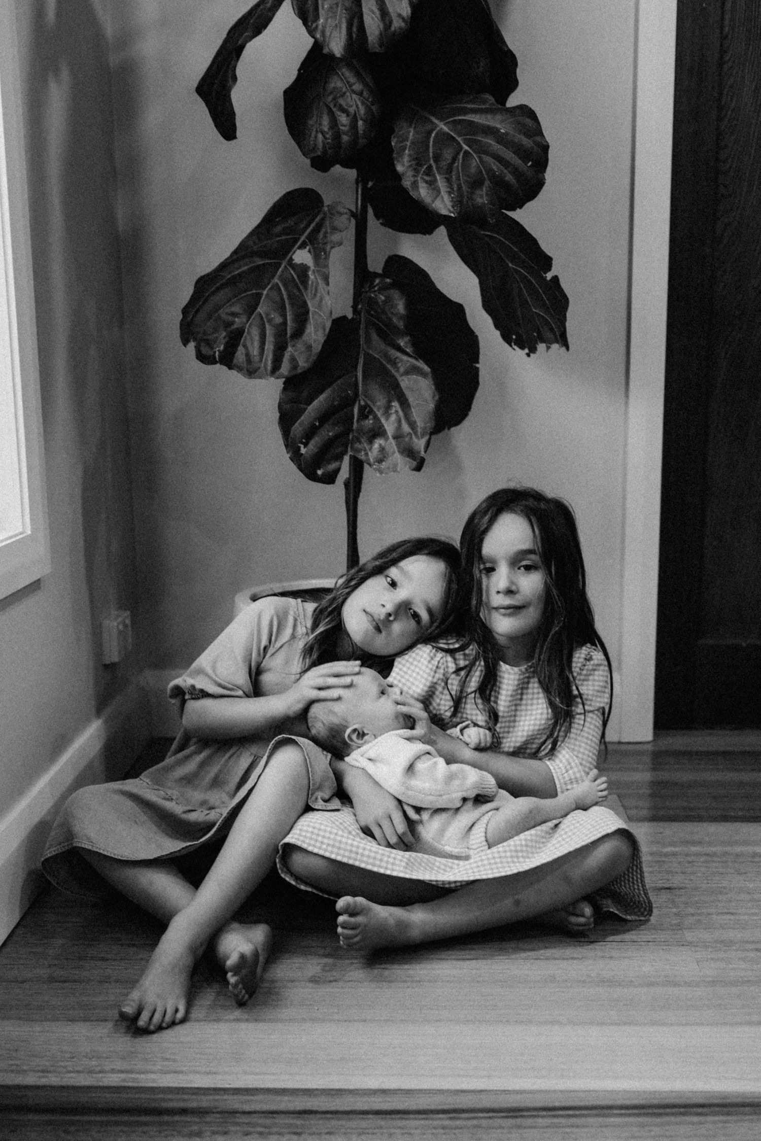 Black and white photo of two young girls sitting on floor holding a newborn baby near a fiddle leaf fig plant.