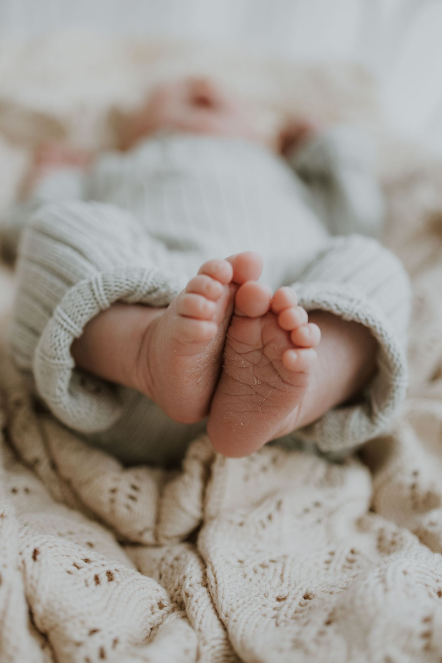 Geelong Melbourne newborn maternity family couples photographer photography