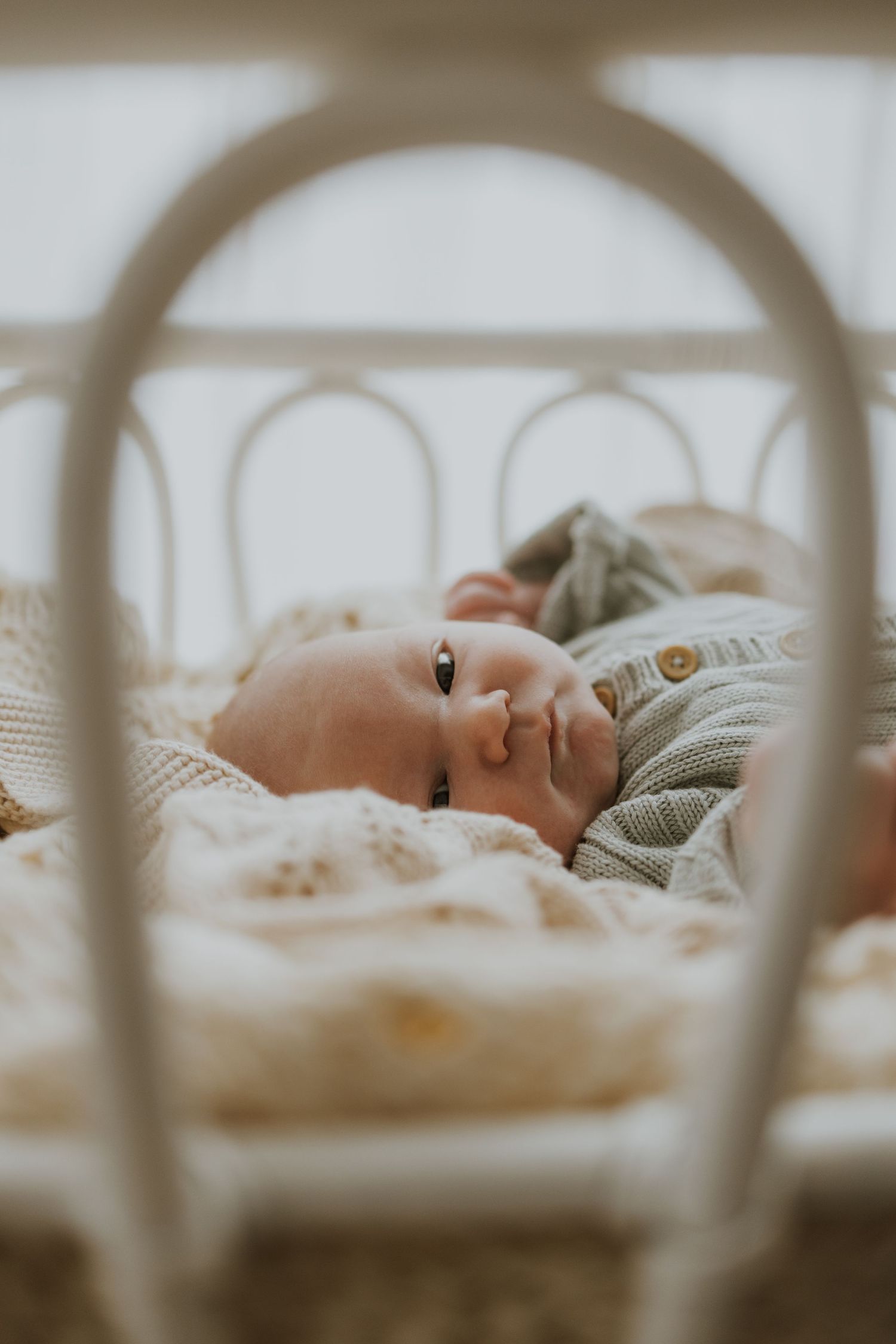 Geelong Melbourne newborn maternity family couples photographer photography