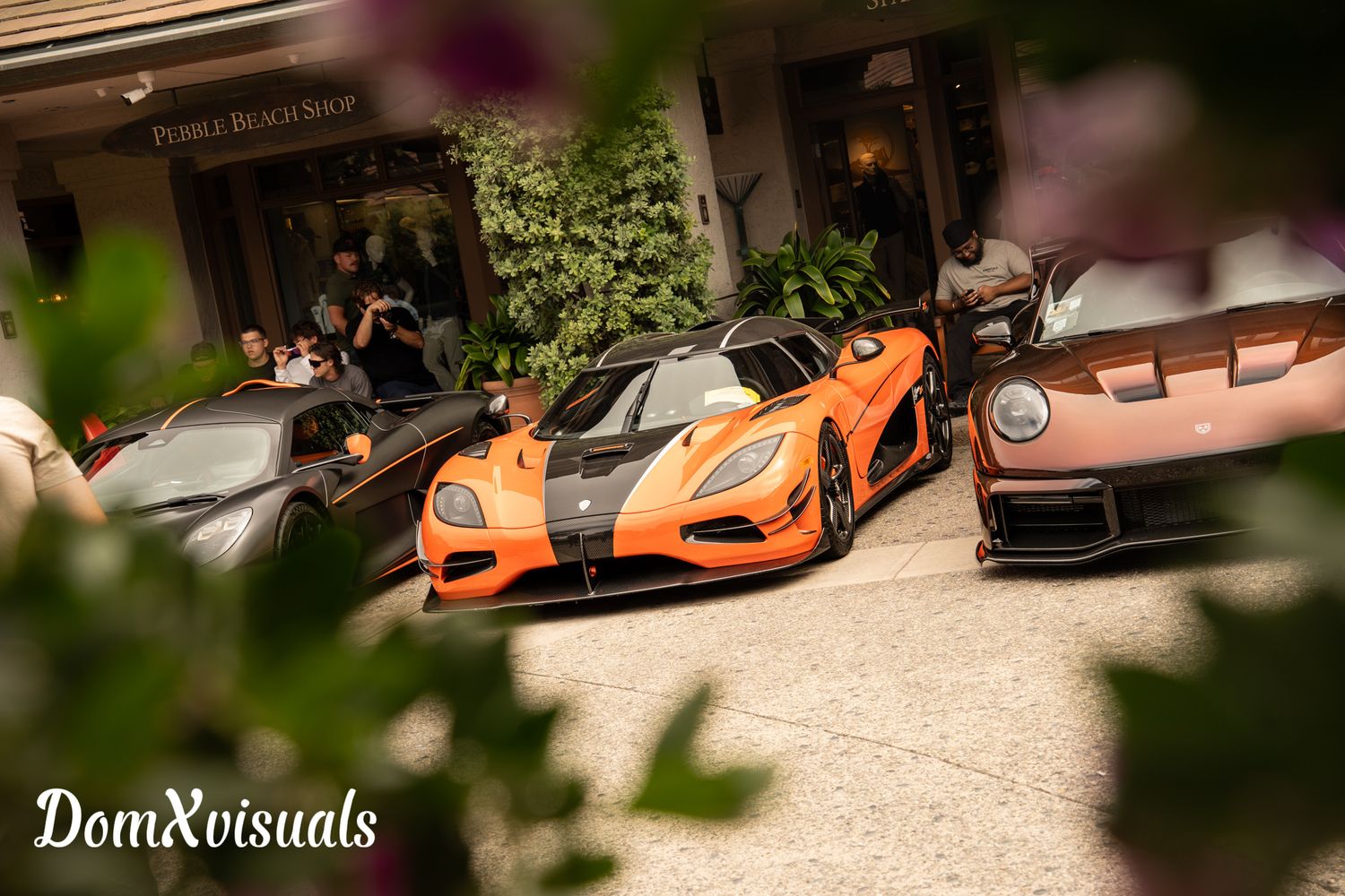 Orange Koenigsegg Agera through the bush's