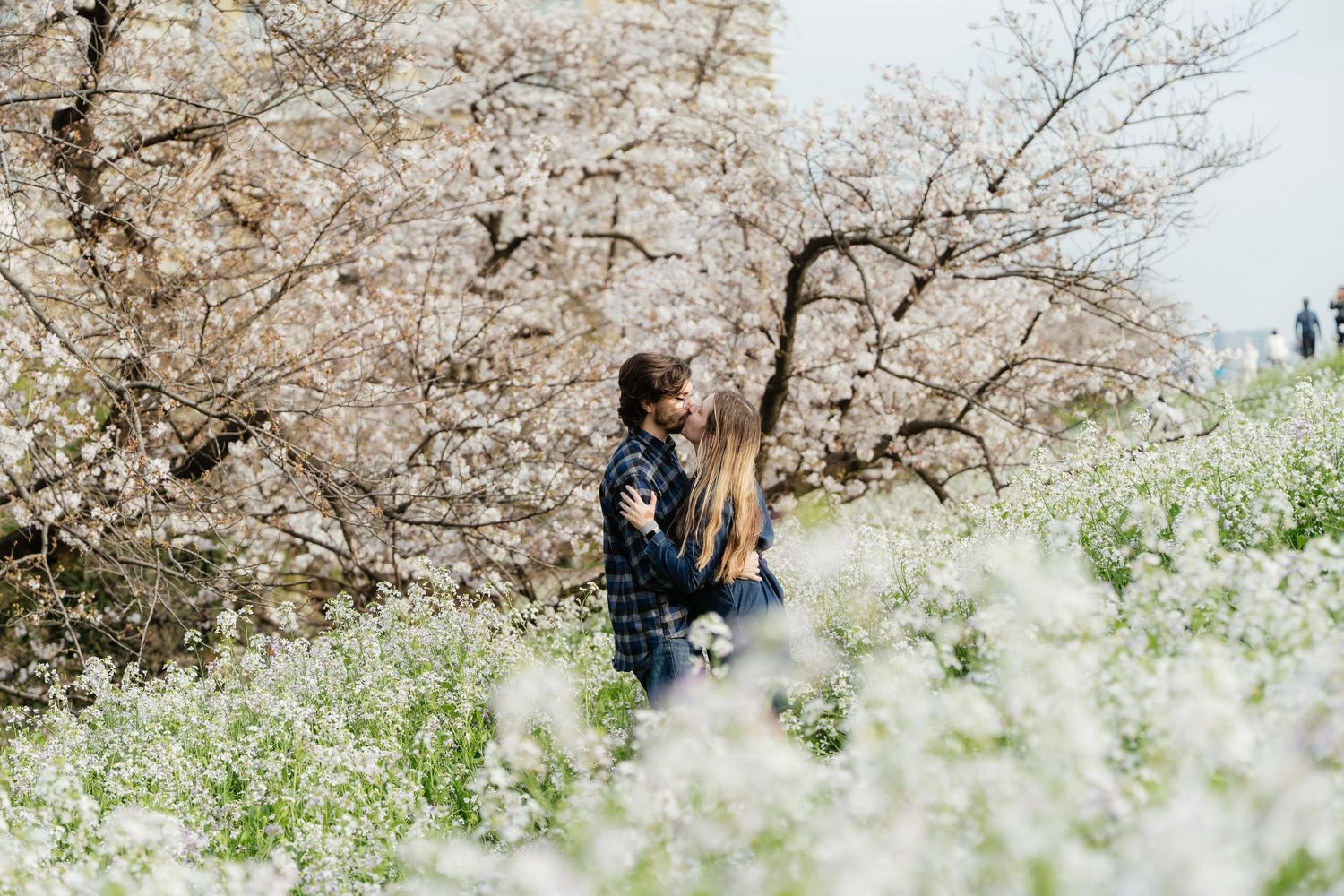 Couple standing among white wildflowers beneath blooming cherry blossom trees in spring.