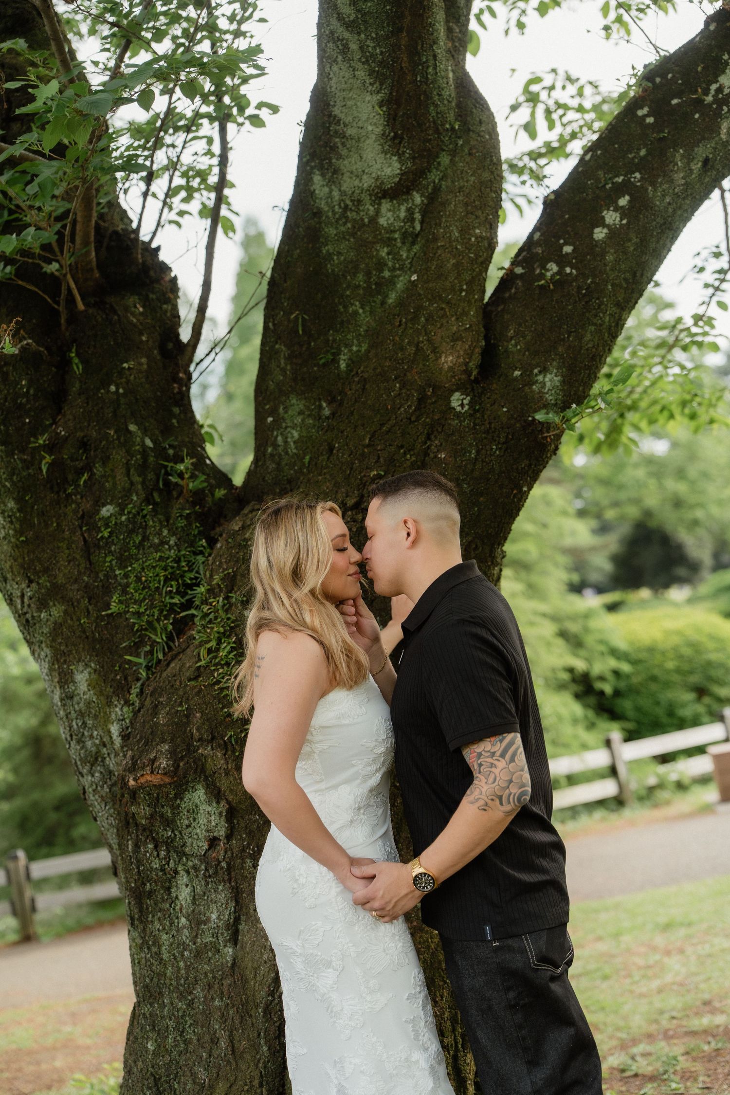 Bride and groom share a romantic kiss in front of a large mossy tree in a lush green outdoor setting.