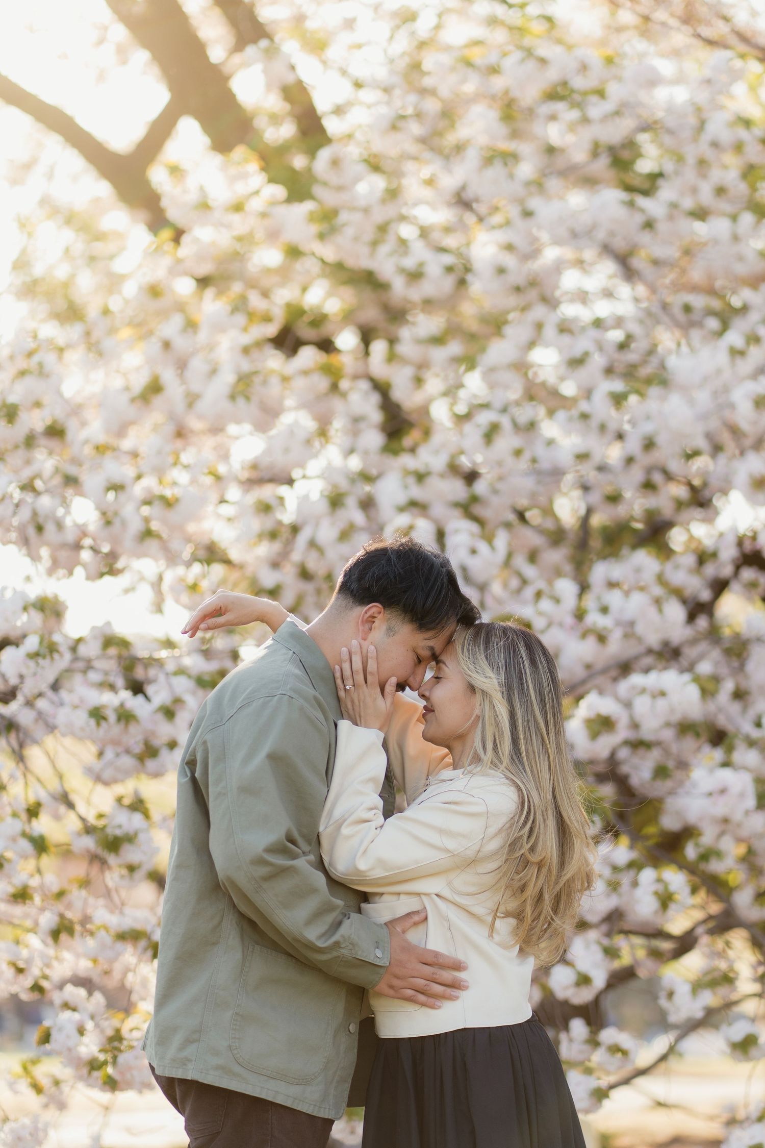 Couple embracing and almost kissing under blooming cherry blossom trees in soft golden sunlight.