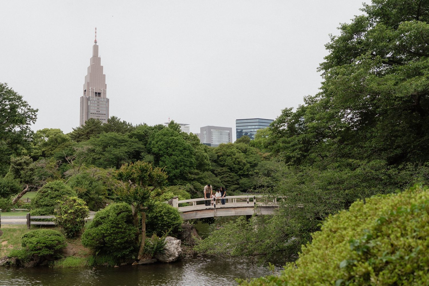 Lush green park with a wooden bridge over a calm pond, trees, and a tall skyscraper in the misty background.