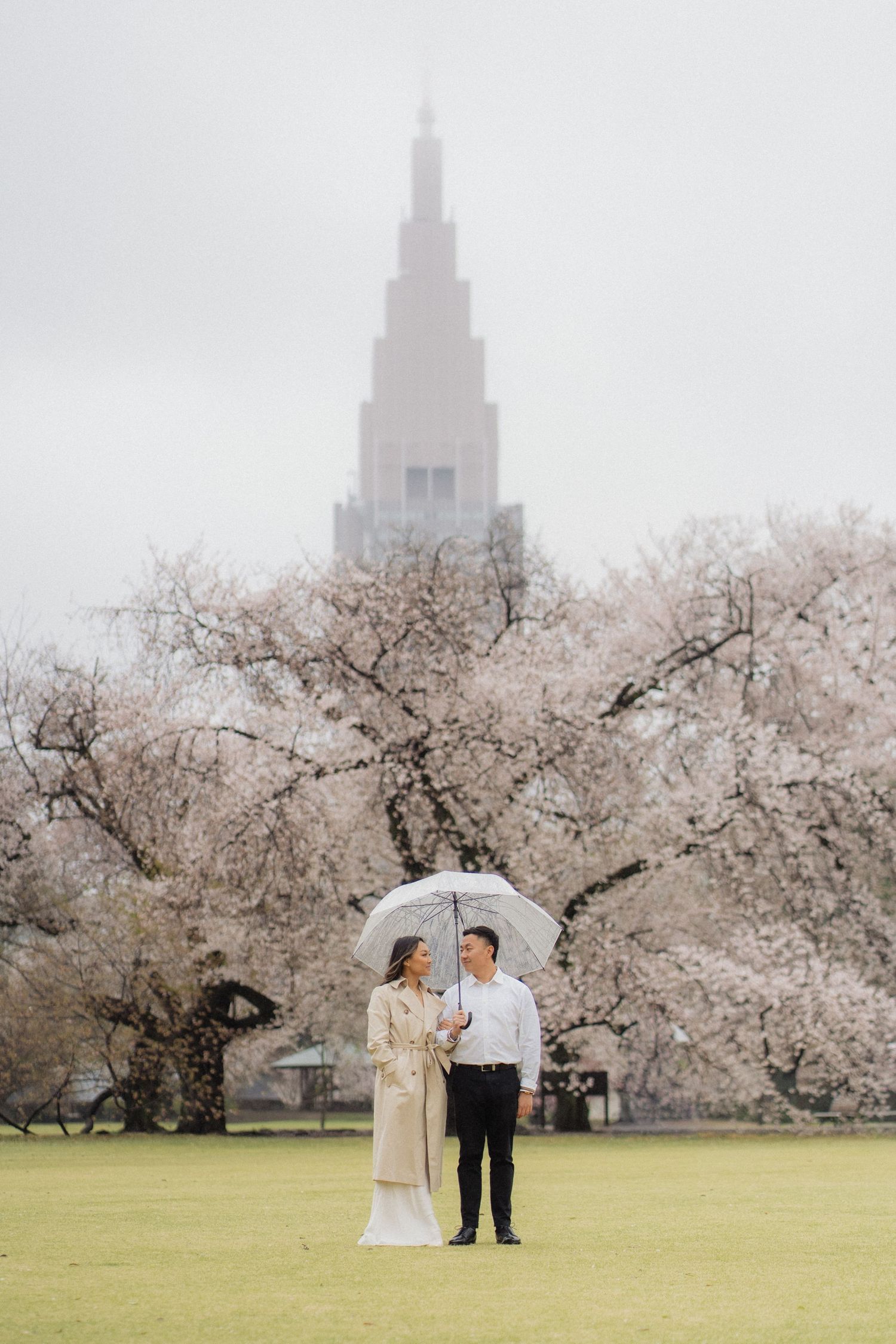 Couple sharing umbrella among cherry blossoms in misty park with tower backdrop.