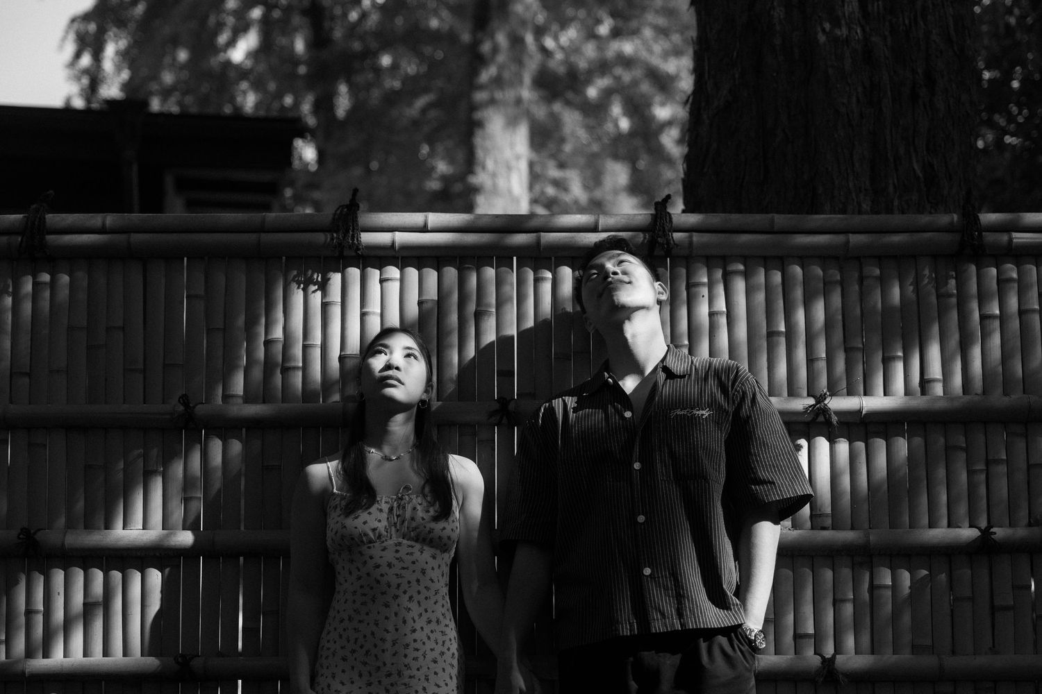 Black and white photo of a man and woman looking up outdoors near a bamboo fence and tall trees.