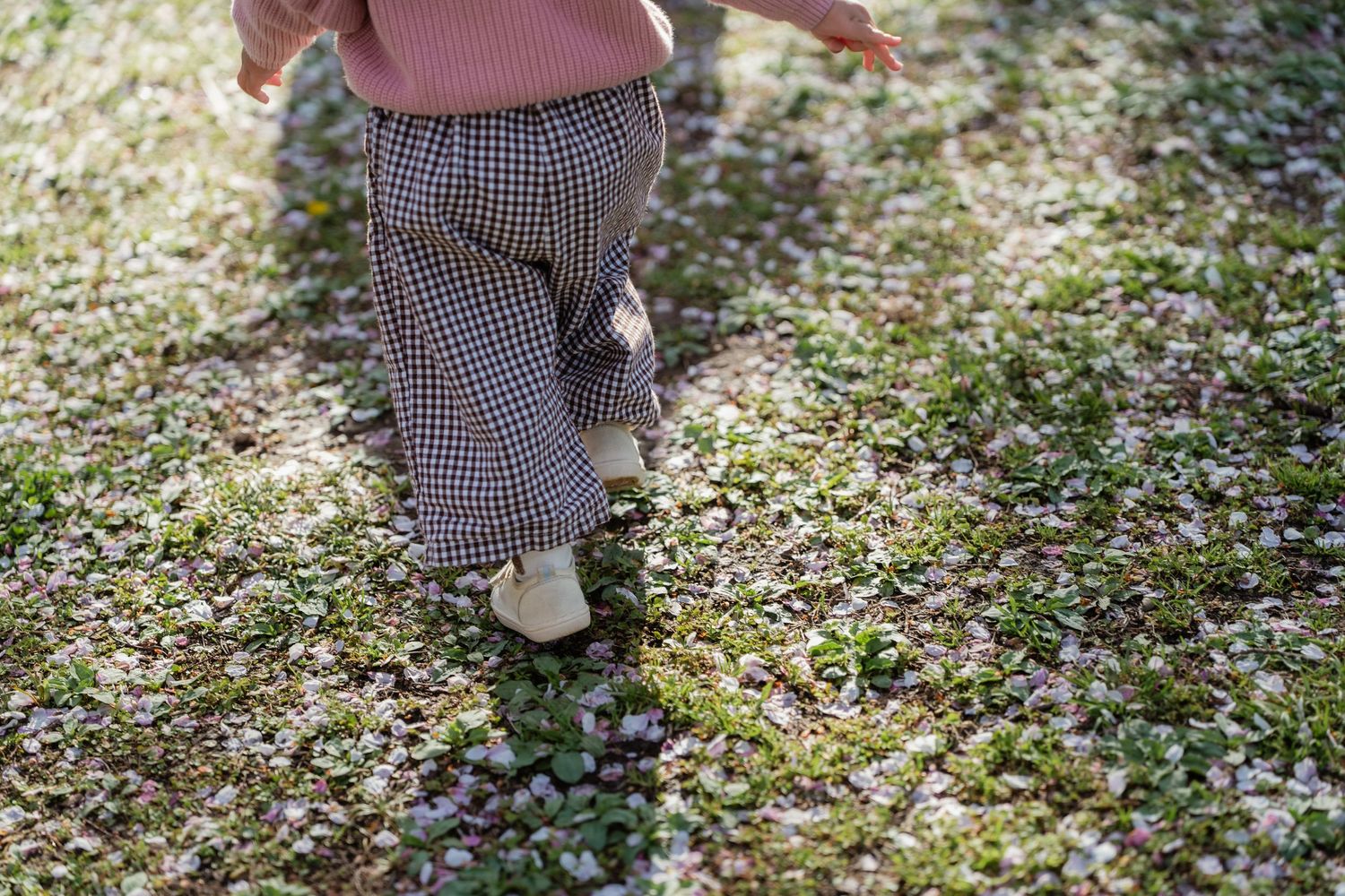 Toddler in plaid pants walking barefoot on moss-covered ground with scattered flower petals in sunlight.