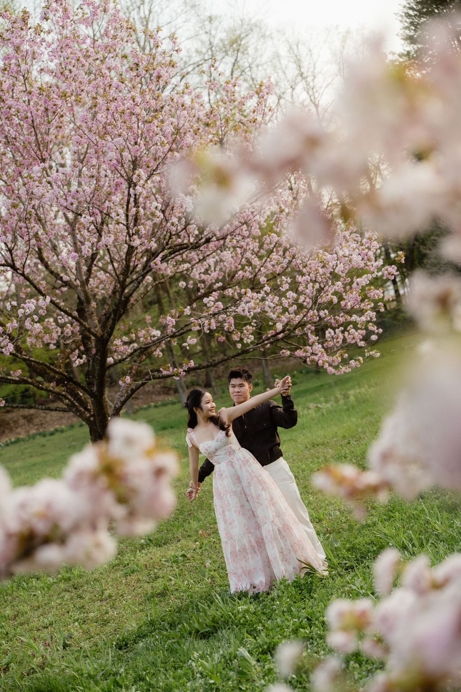 Couple dancing under blooming pink cherry blossom trees on green grass in a romantic spring outdoor setting.