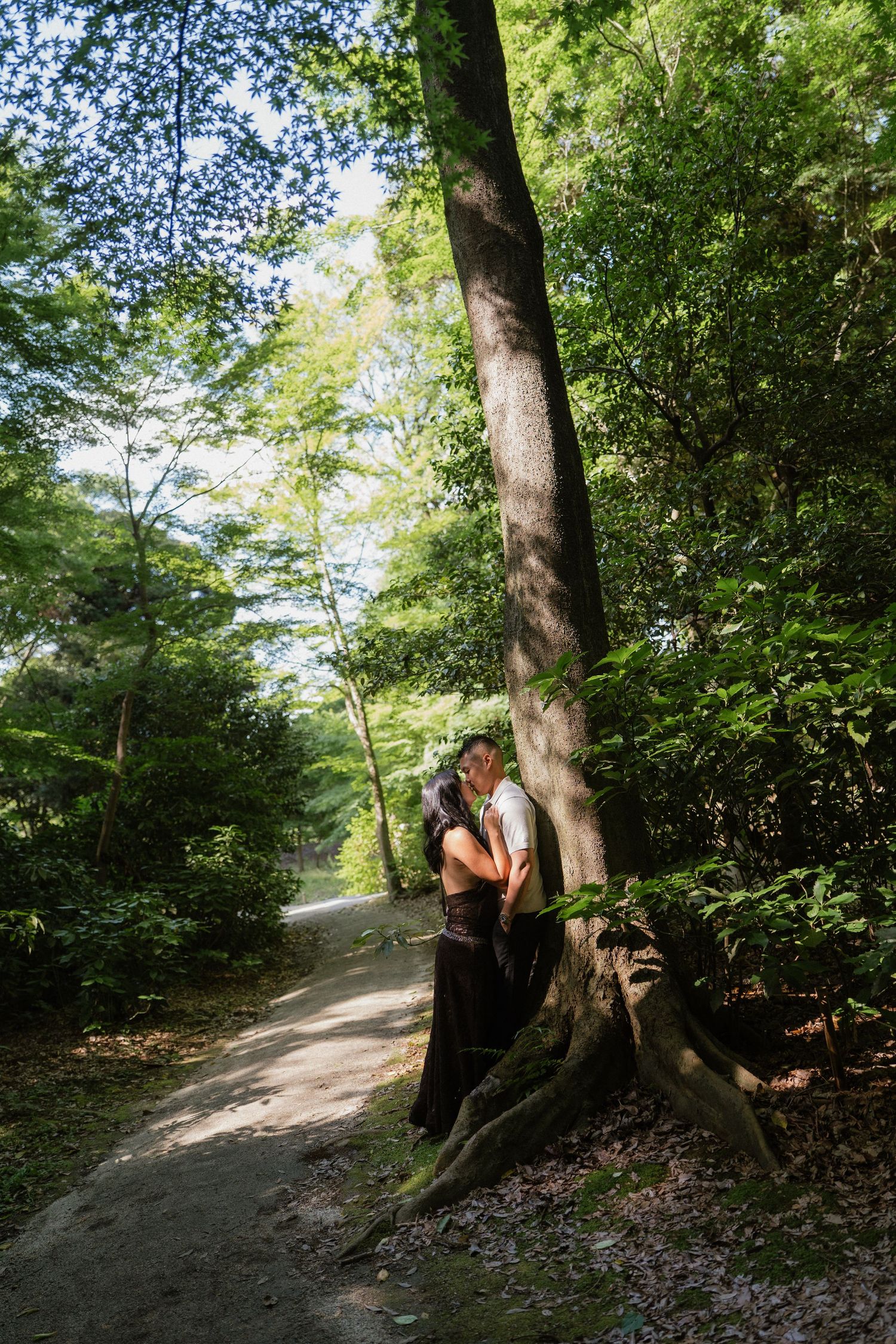 Couple embracing by a large tree on a sunlit forest path surrounded by lush green trees.