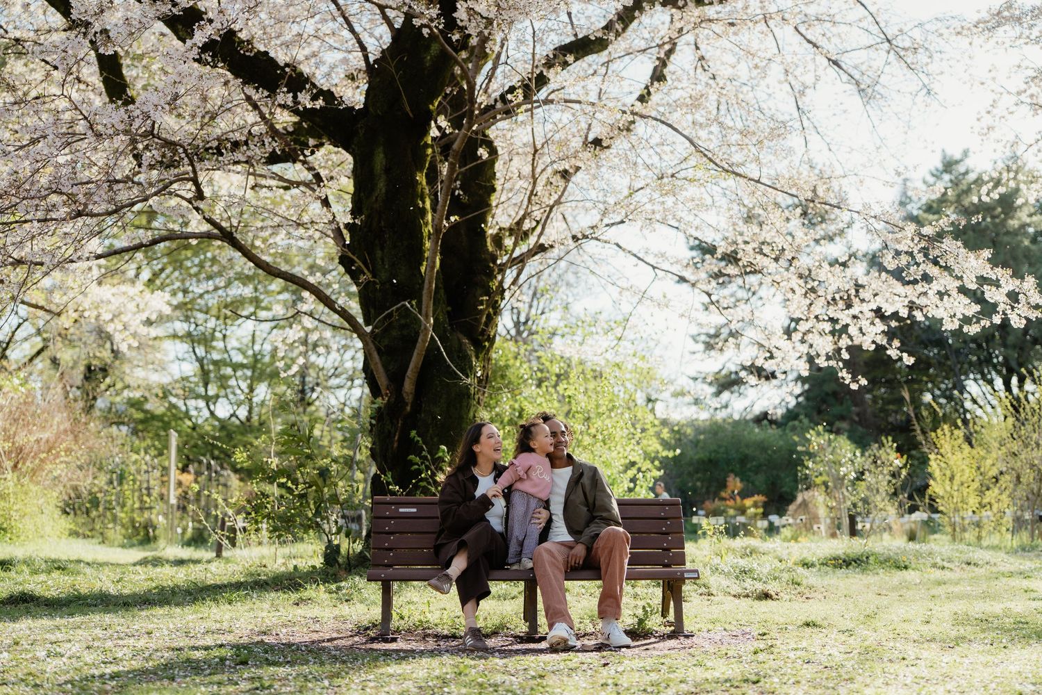 Family sitting together on a park bench under blooming cherry blossom trees on a sunny spring day.