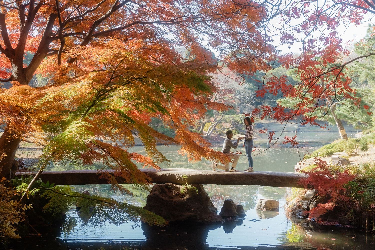 Couple on stone bridge surrounded by vibrant red autumn maple trees over tranquil pond.