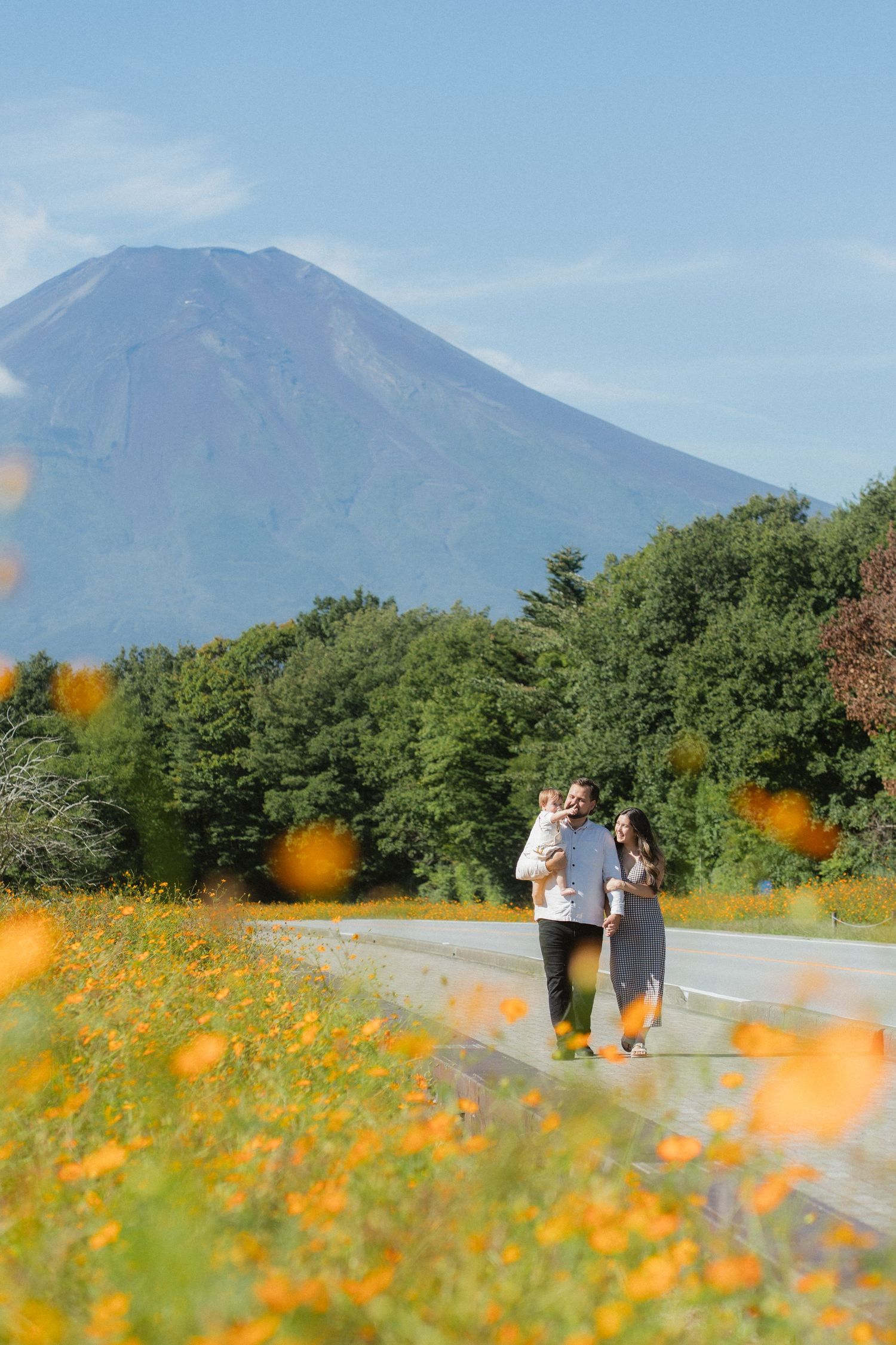Couple walking on a road with orange cosmos flowers and Mount Fuji in the background on a clear day.