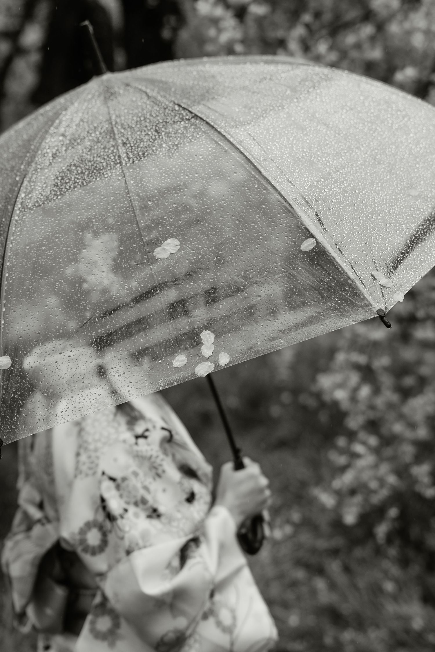 Black and white photo of a person in kimono holding a clear umbrella with raindrops in a garden setting.