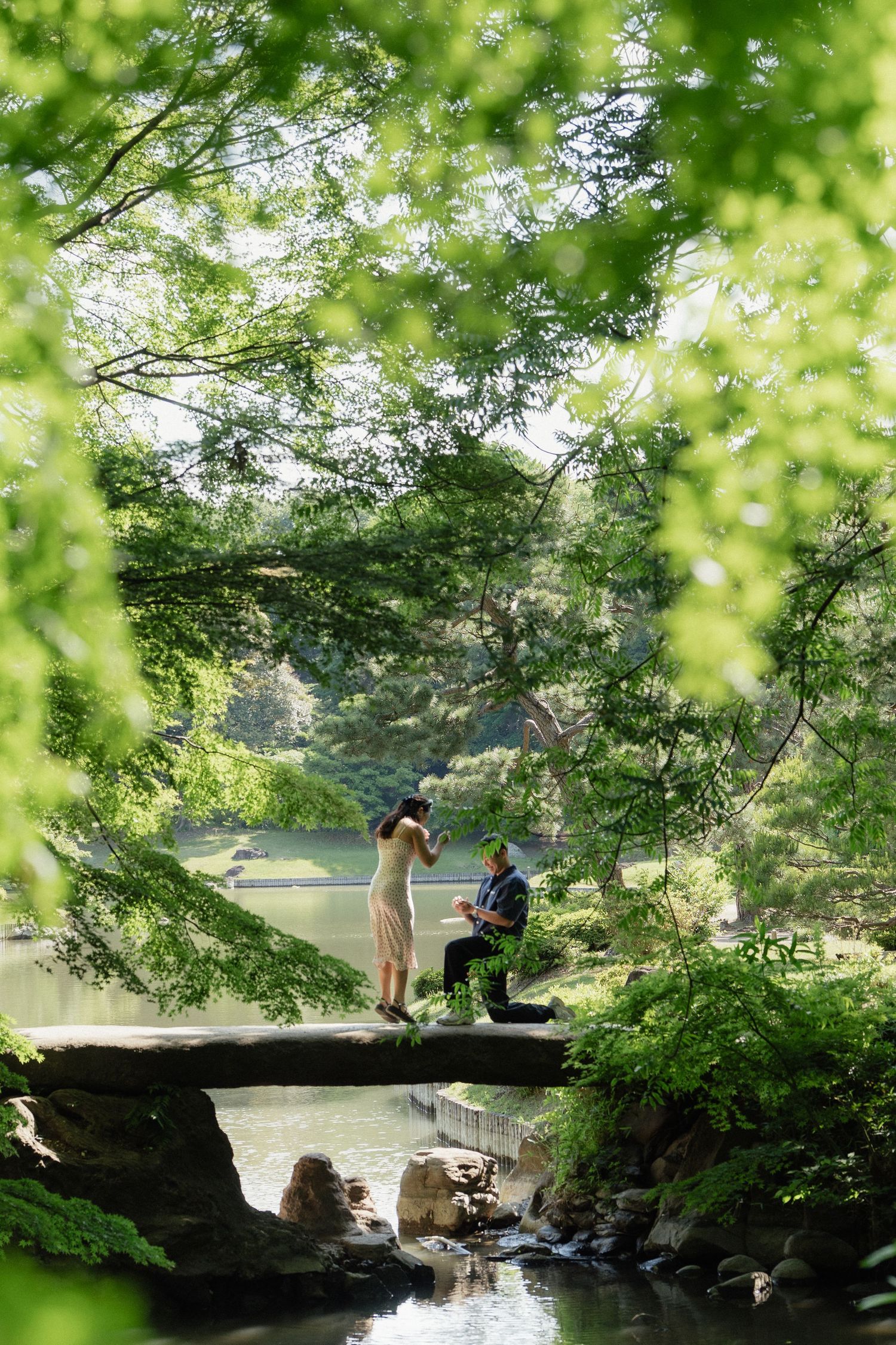 Couple sharing a romantic proposal moment on a stone bridge surrounded by lush green trees near a tranquil pond.