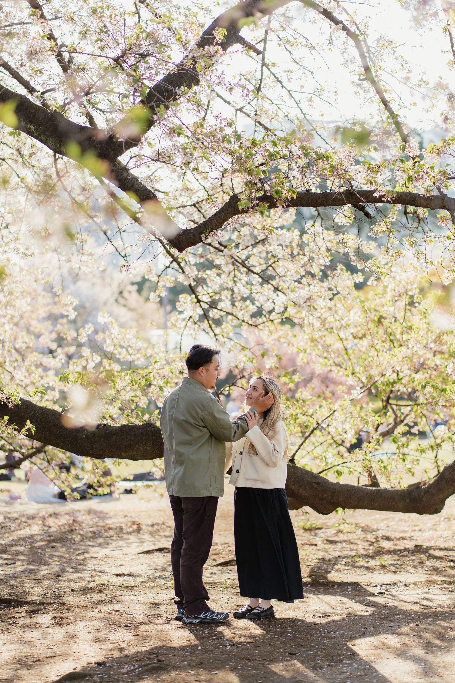 Couple dancing under blooming cherry blossom trees in a sunlit park during spring.