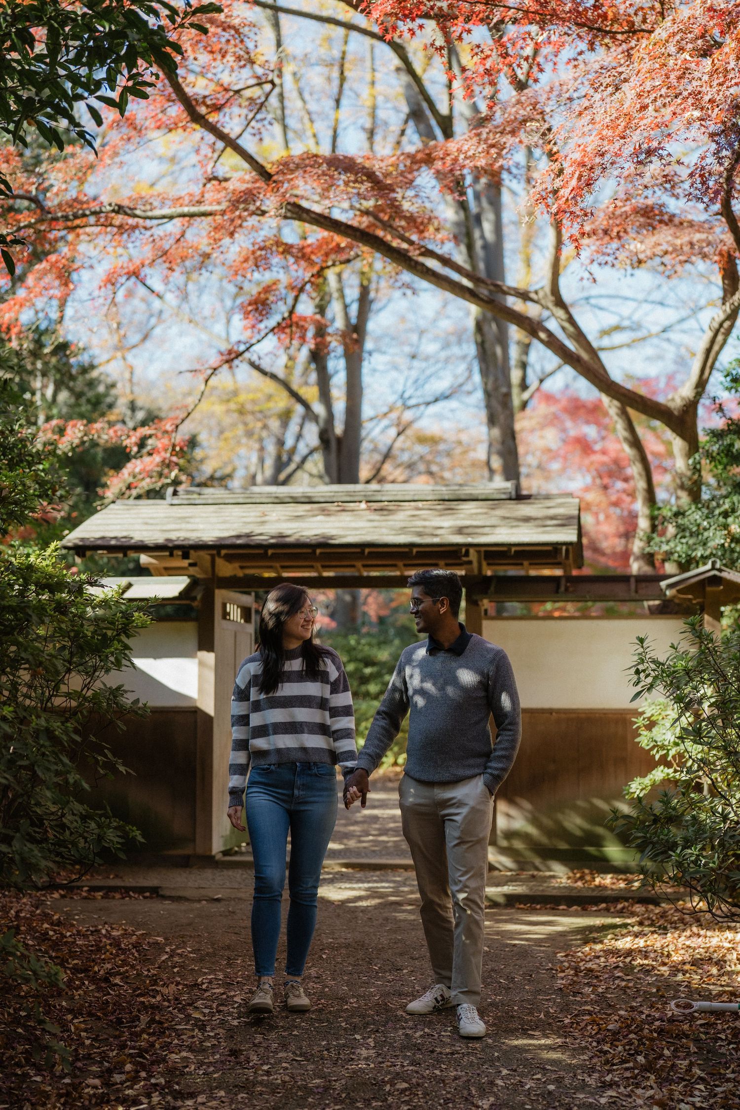 Couple holding hands walking through a Japanese garden with vibrant autumn foliage and traditional gate.