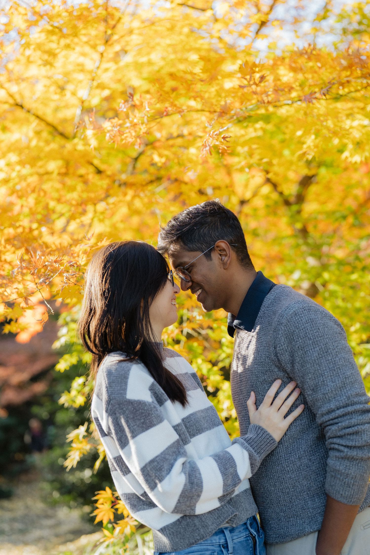 A couple shares a romantic moment surrounded by vibrant yellow autumn foliage in a serene outdoor setting.