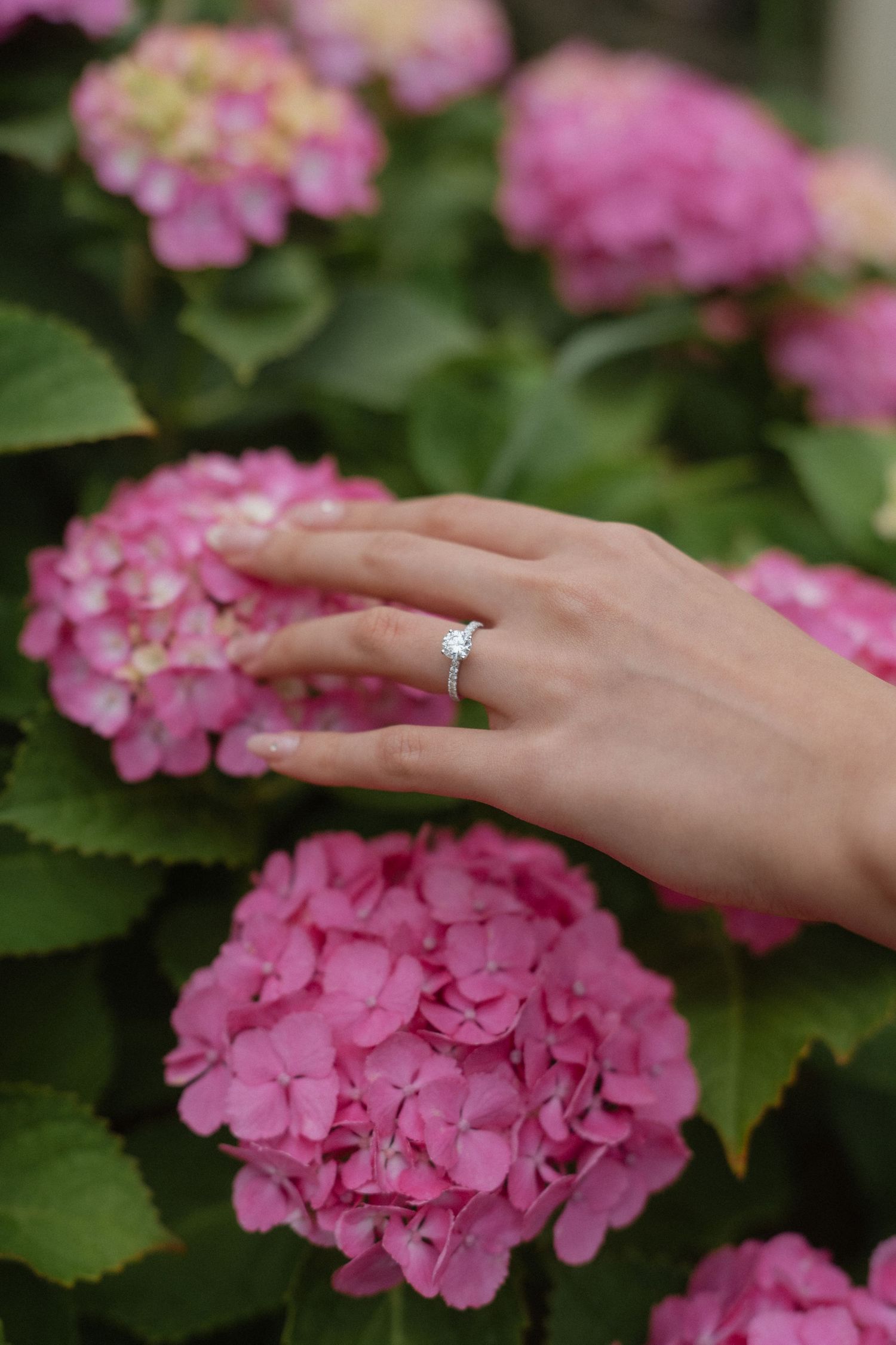 A hand wearing a diamond solitaire ring touches pink hydrangea blooms in a lush garden setting.