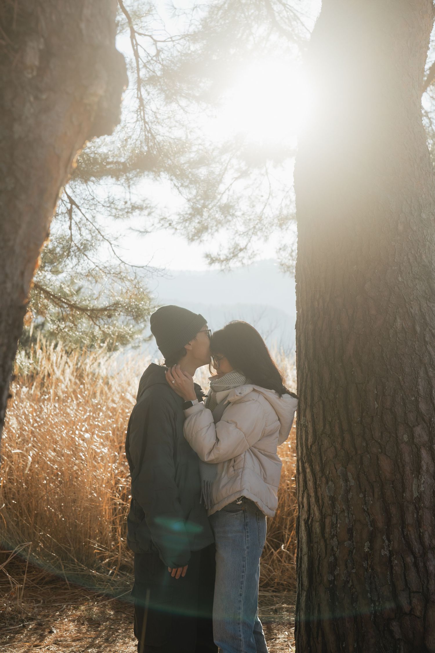Couple sharing a romantic moment kissing in a sunlit autumn forest between tall pine trees.