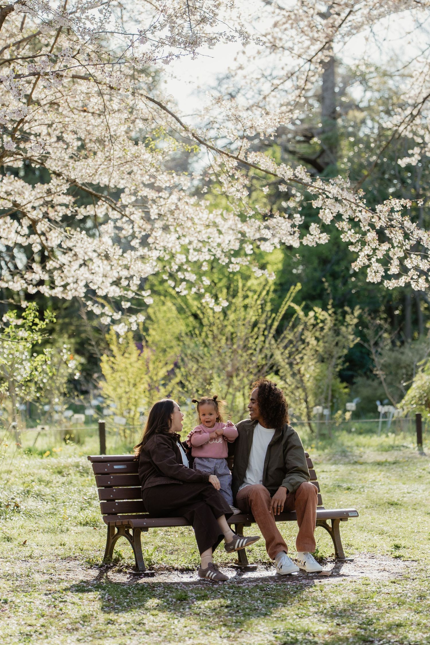 Family with baby sitting on park bench under blooming cherry blossom tree on sunny spring day.