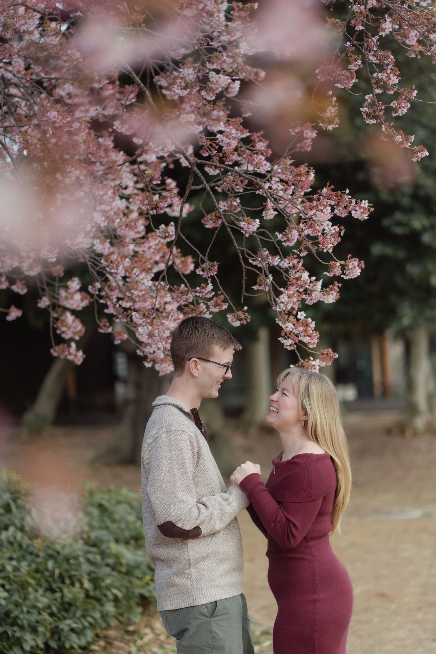 Couple holding hands and smiling under pink cherry blossom tree in spring park setting.