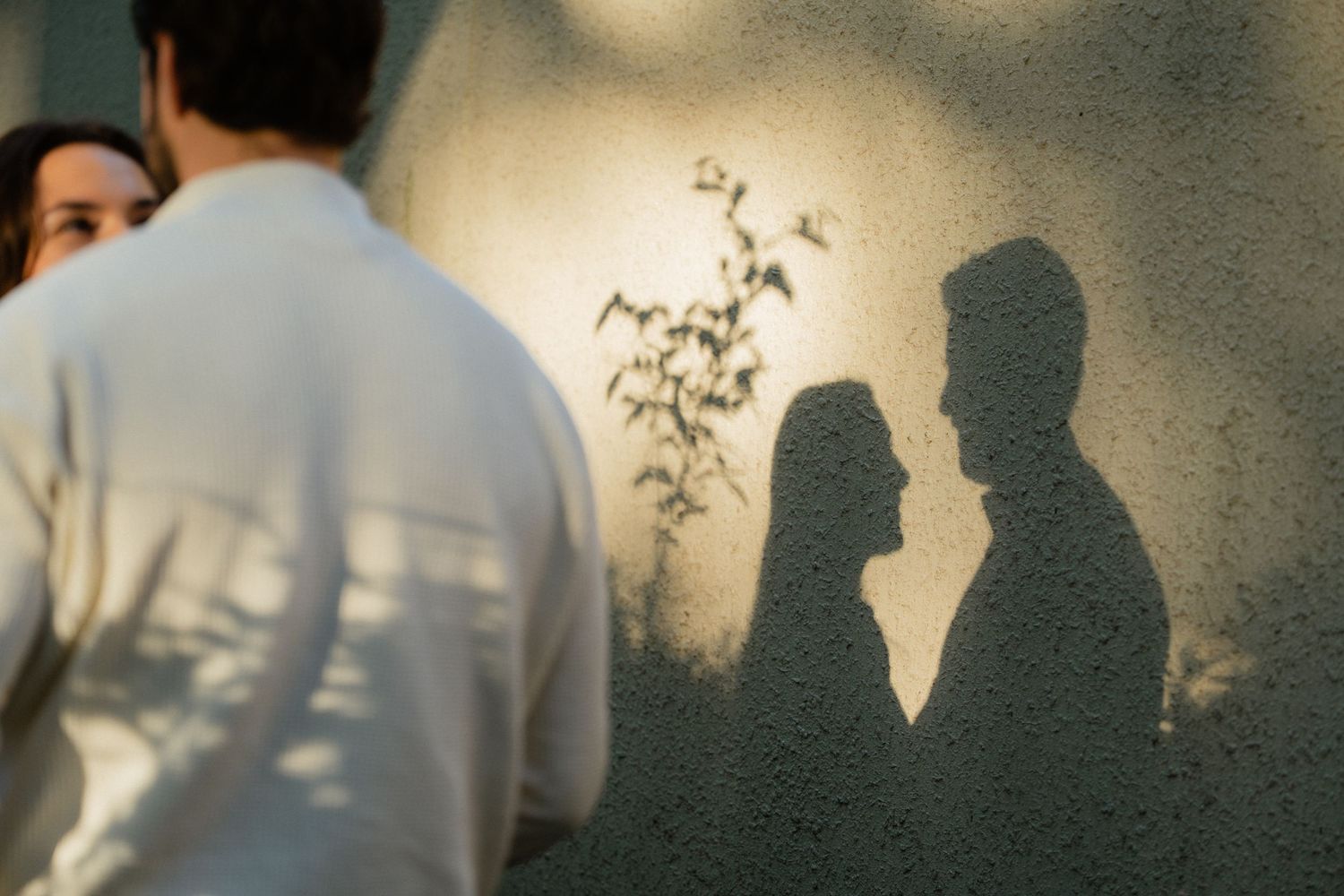 Romantic couple silhouette shadow on textured wall with plant, engagement photo concept.