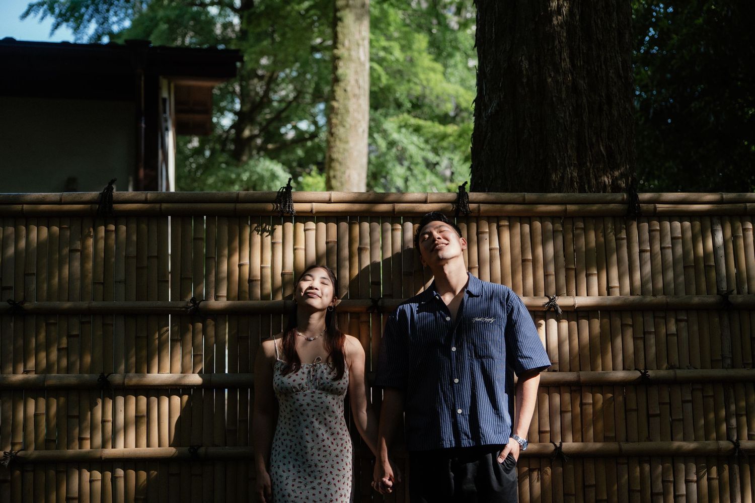Couple holding hands and laughing together outdoors near a bamboo fence and tall trees in a Japanese garden.