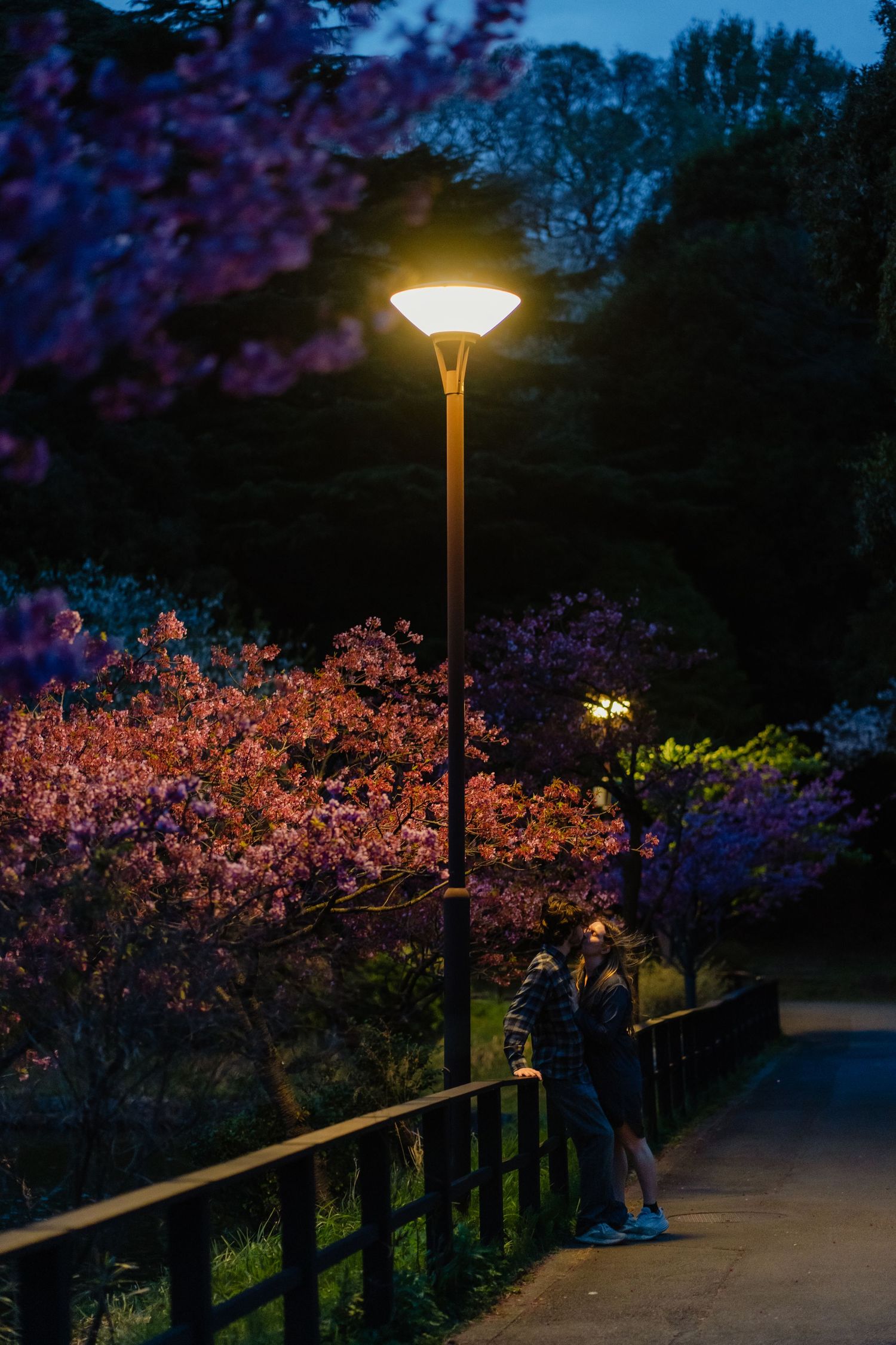 A couple stands under a glowing street lamp at dusk, surrounded by blooming cherry blossom trees in a park.