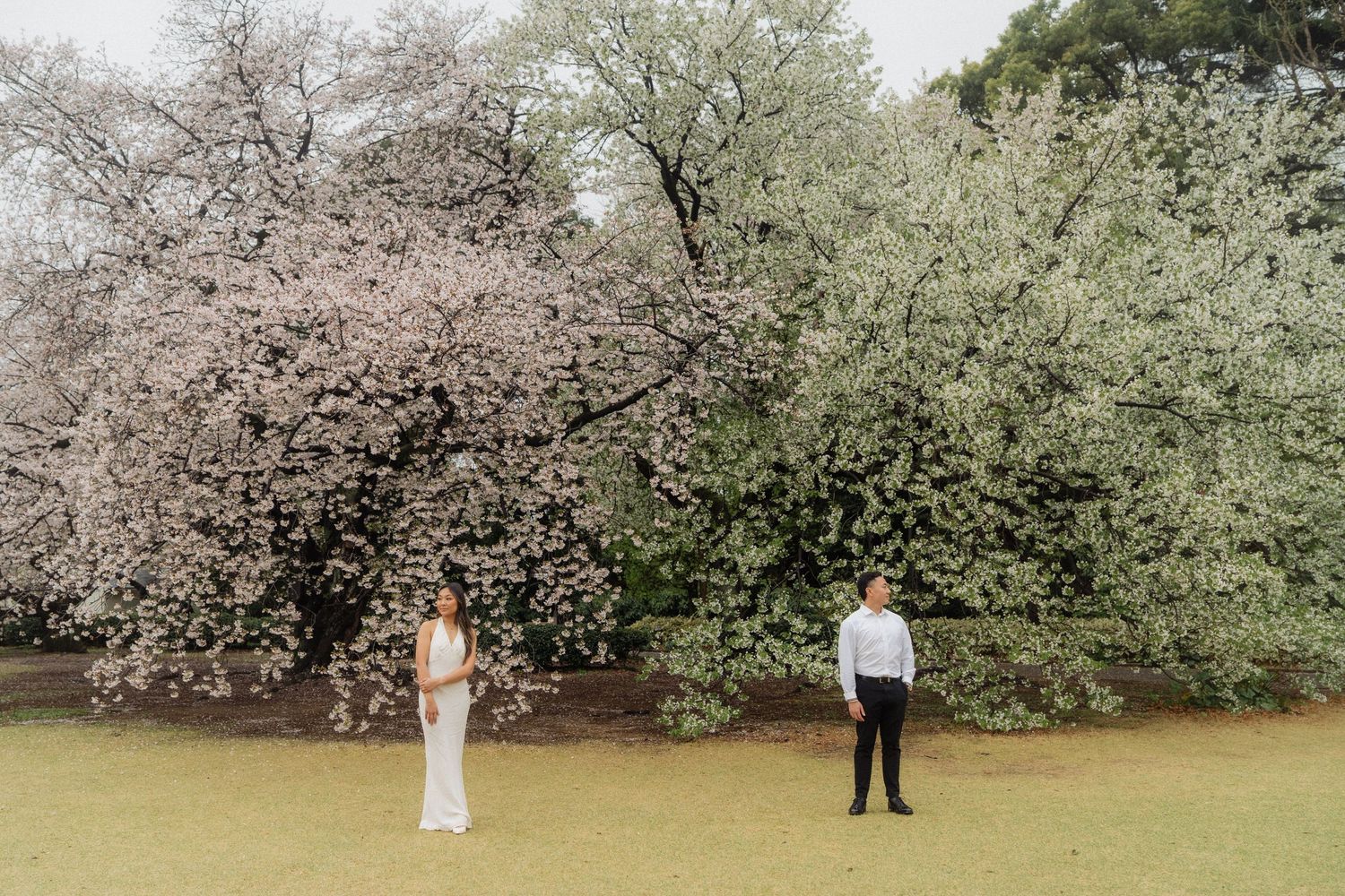 Couple stands apart beneath blooming cherry blossom and white flowering trees on a lush green lawn.