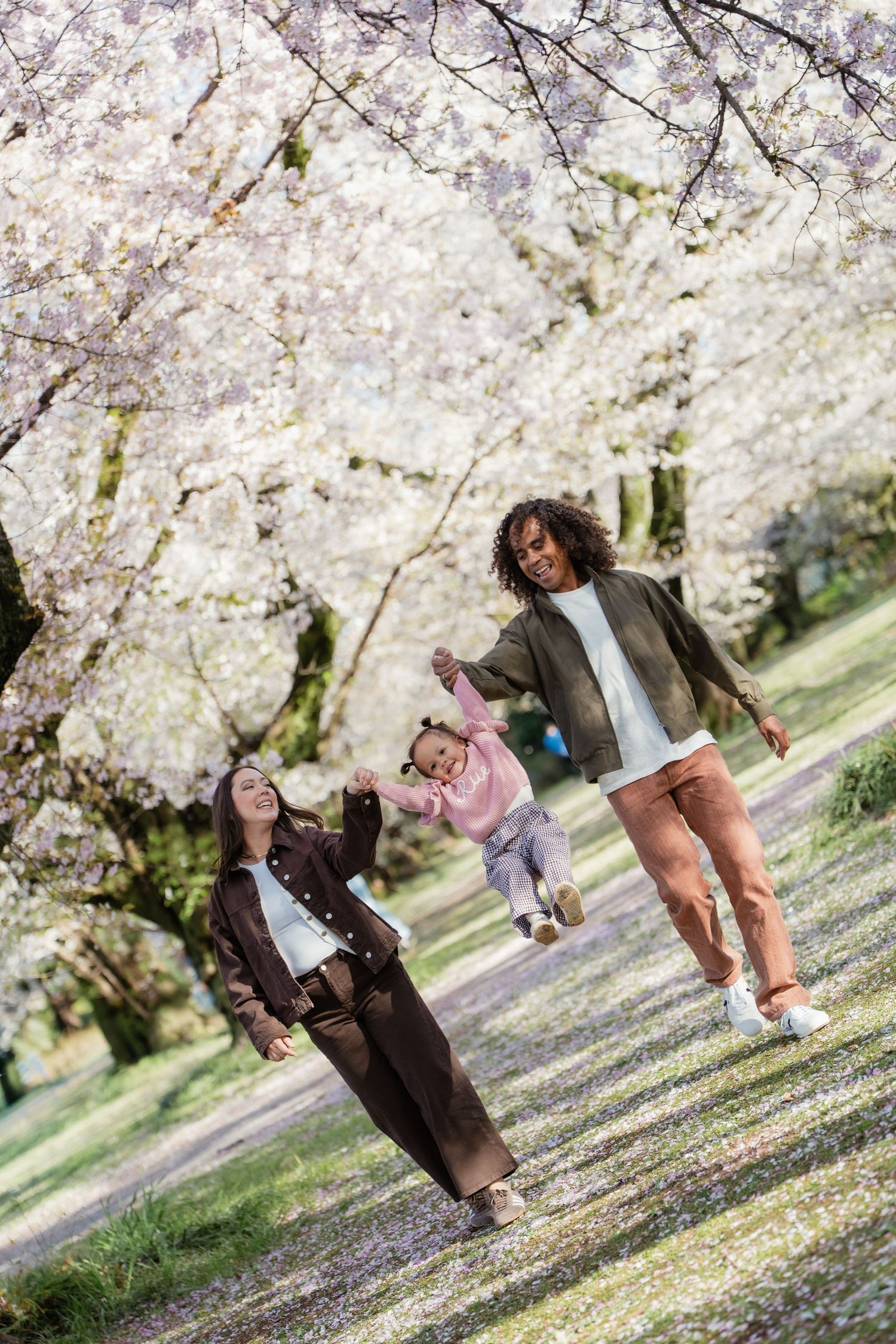 Family swinging toddler under blooming cherry blossom trees in a park during spring.