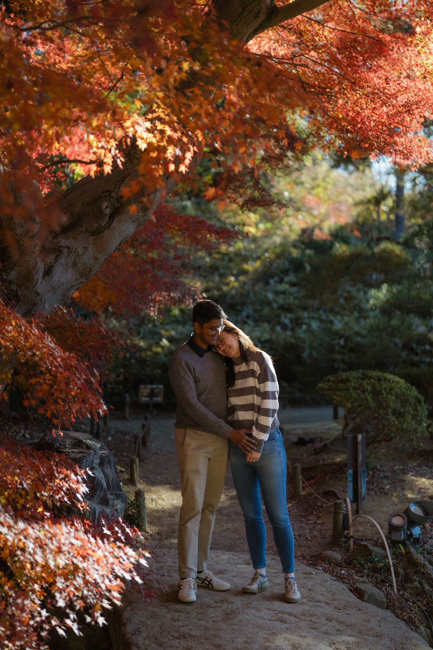 Couple embracing on a stone path surrounded by vibrant red and orange autumn foliage in a Japanese garden.