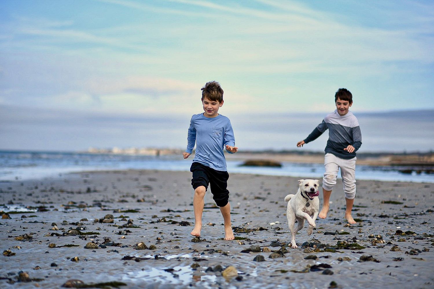 Two boys and a white Labrador dog run joyfully along a sandy beach with ocean waves in the background.