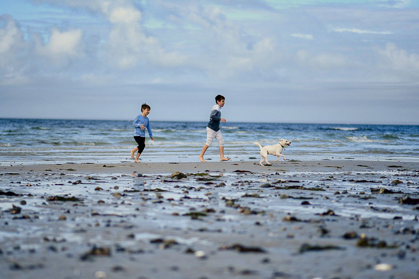 Two children and a white dog running along a rocky beach with ocean waves in the background.