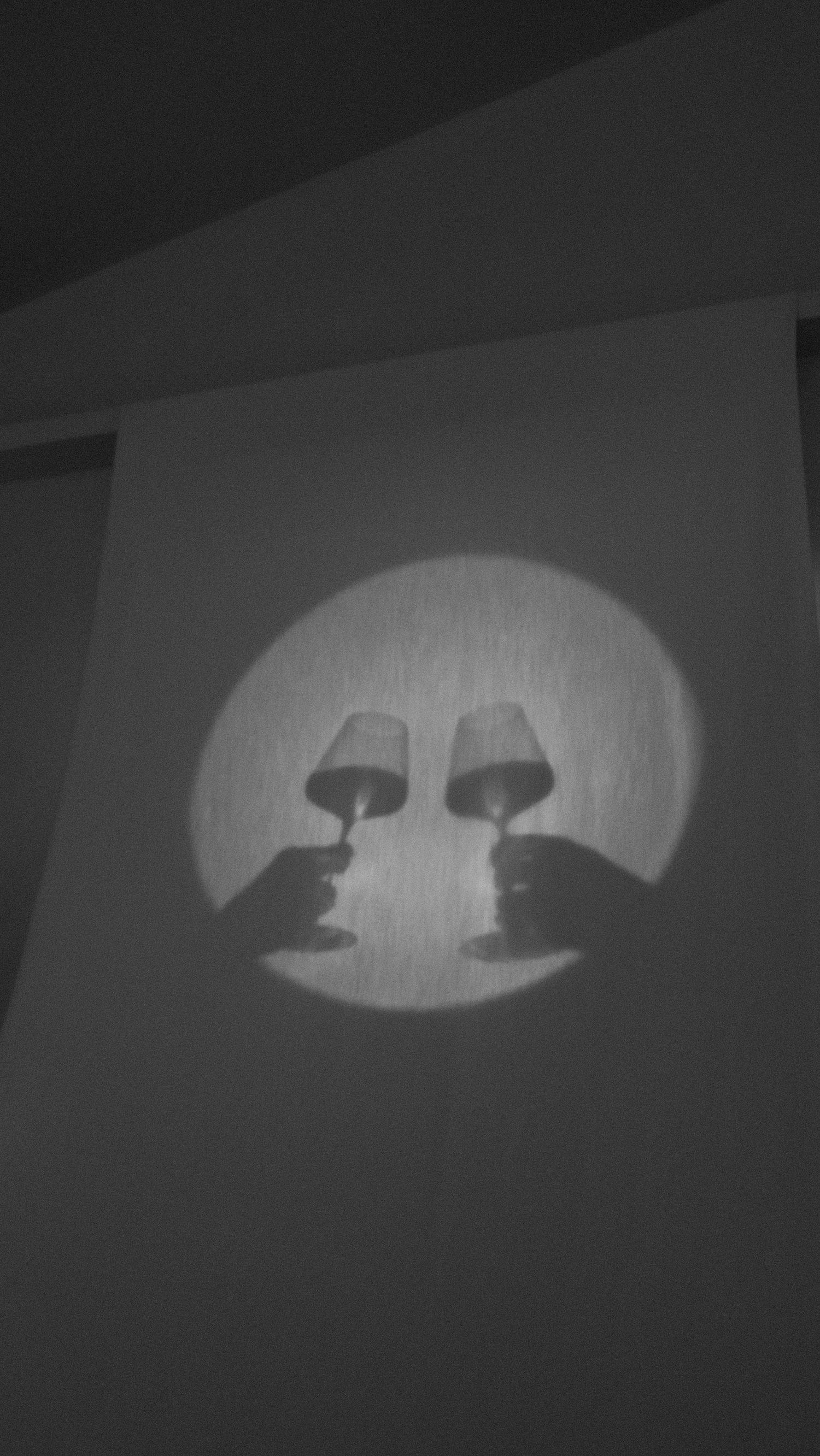 Black and white shadow art of two hands toasting wine glasses in a circular light beam on a wall.