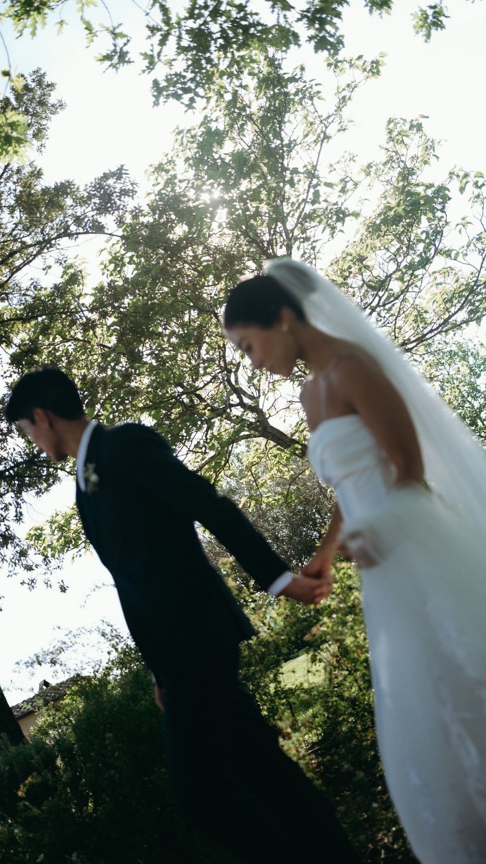 Low angle view of bride in white gown and groom in black suit walking hand in hand under trees.
