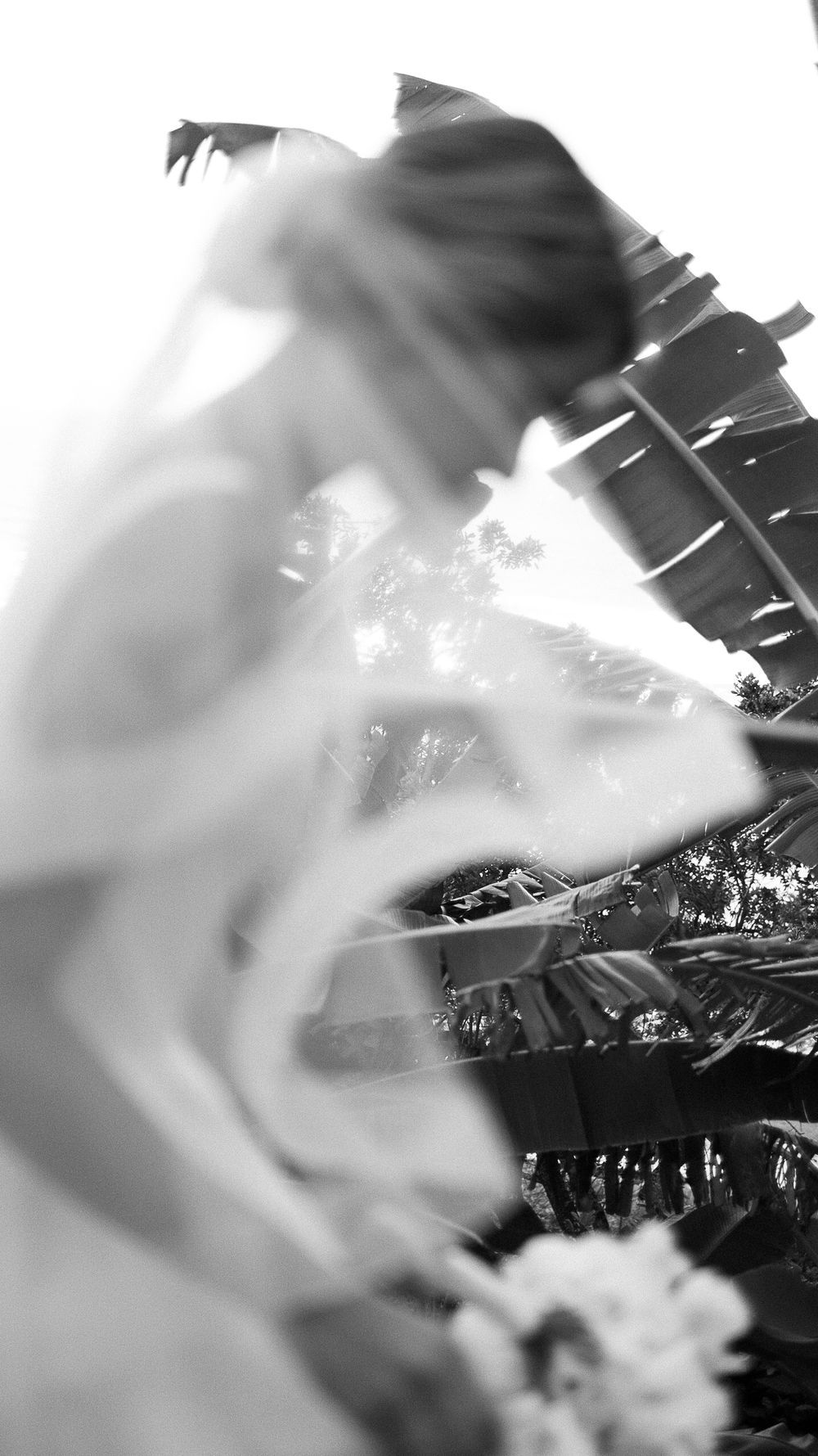 Artistic blurred black and white image of a bride in white gown with veil near tropical foliage.