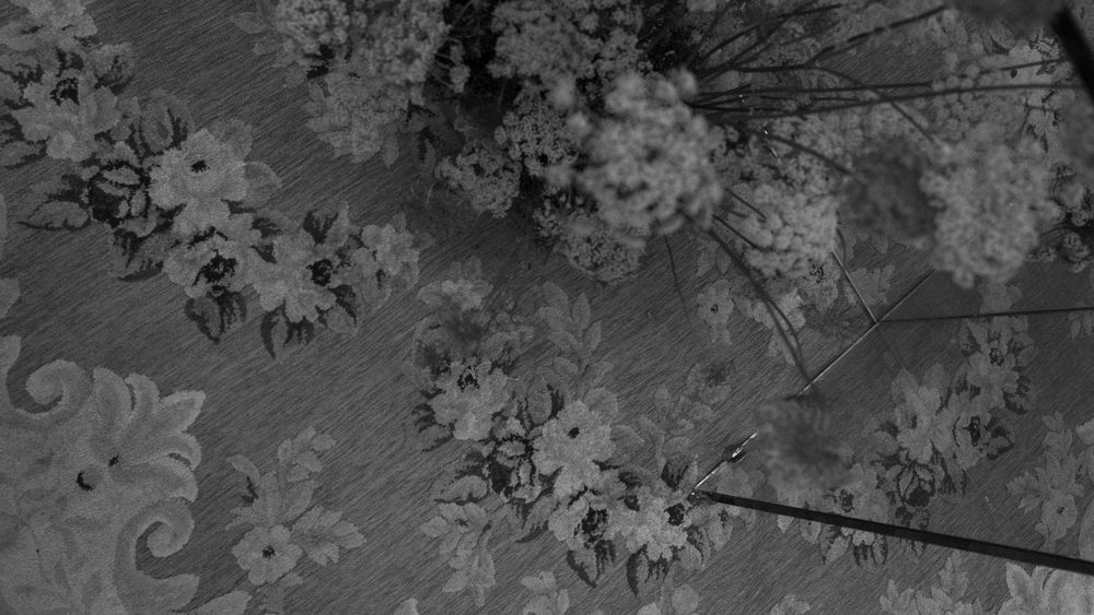 Black and white close-up of an ornate floral patterned fabric with delicate flower and leaf designs.