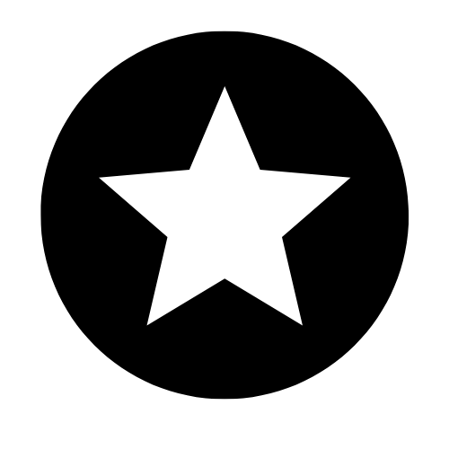 Icon indicating selection of your headshot or portrait after a session with NY Beacon-based Photographer Guido Venitucci.