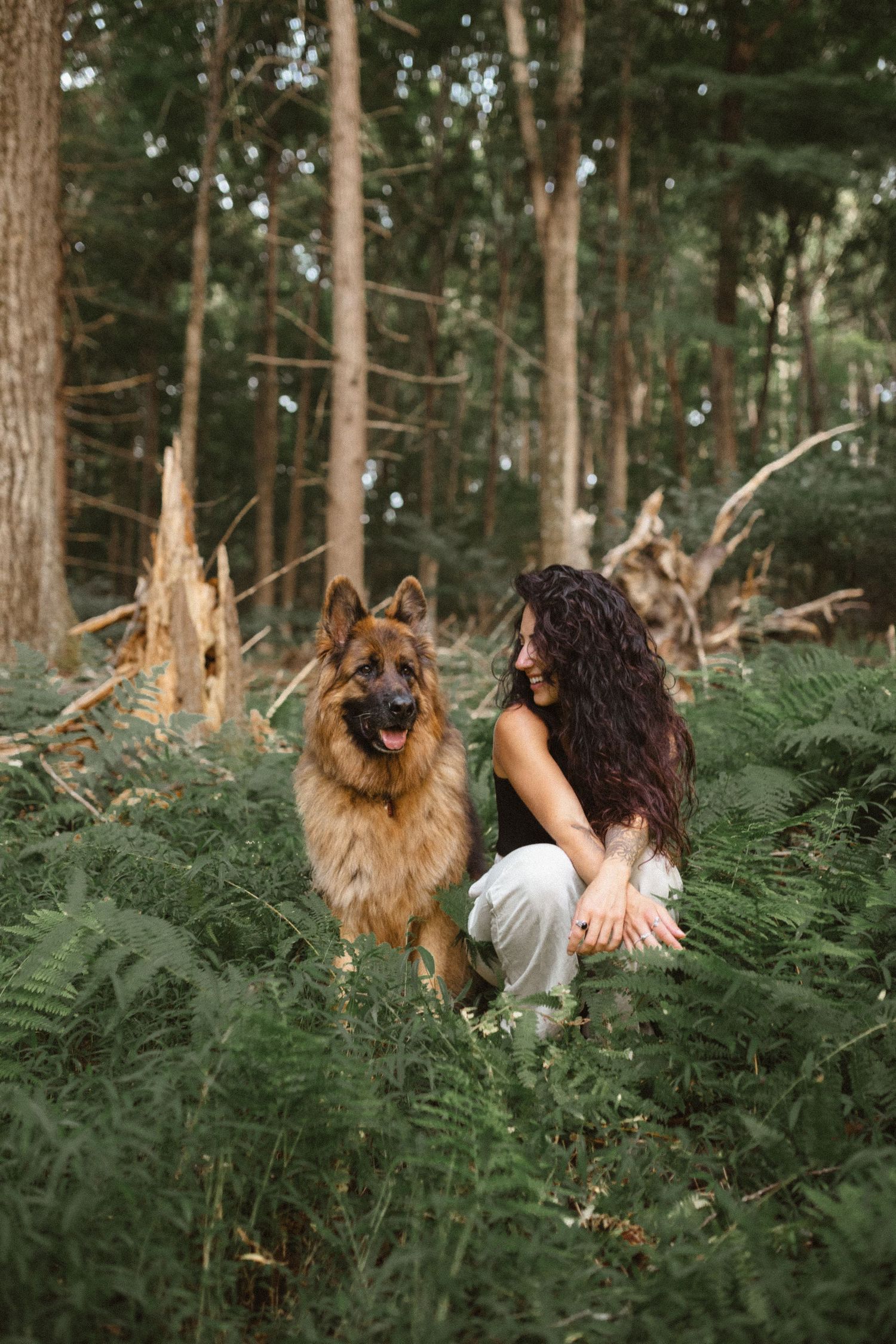 Woman with long curly hair kneels beside a German Shepherd among green ferns in a sunlit forest.