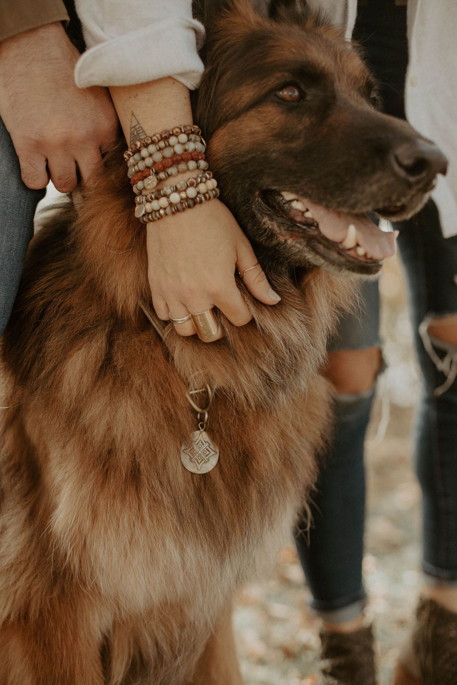 Fluffy German Shepherd with a silver geometric pendant on its collar, hugged by a person wearing beaded bracelets and rings.