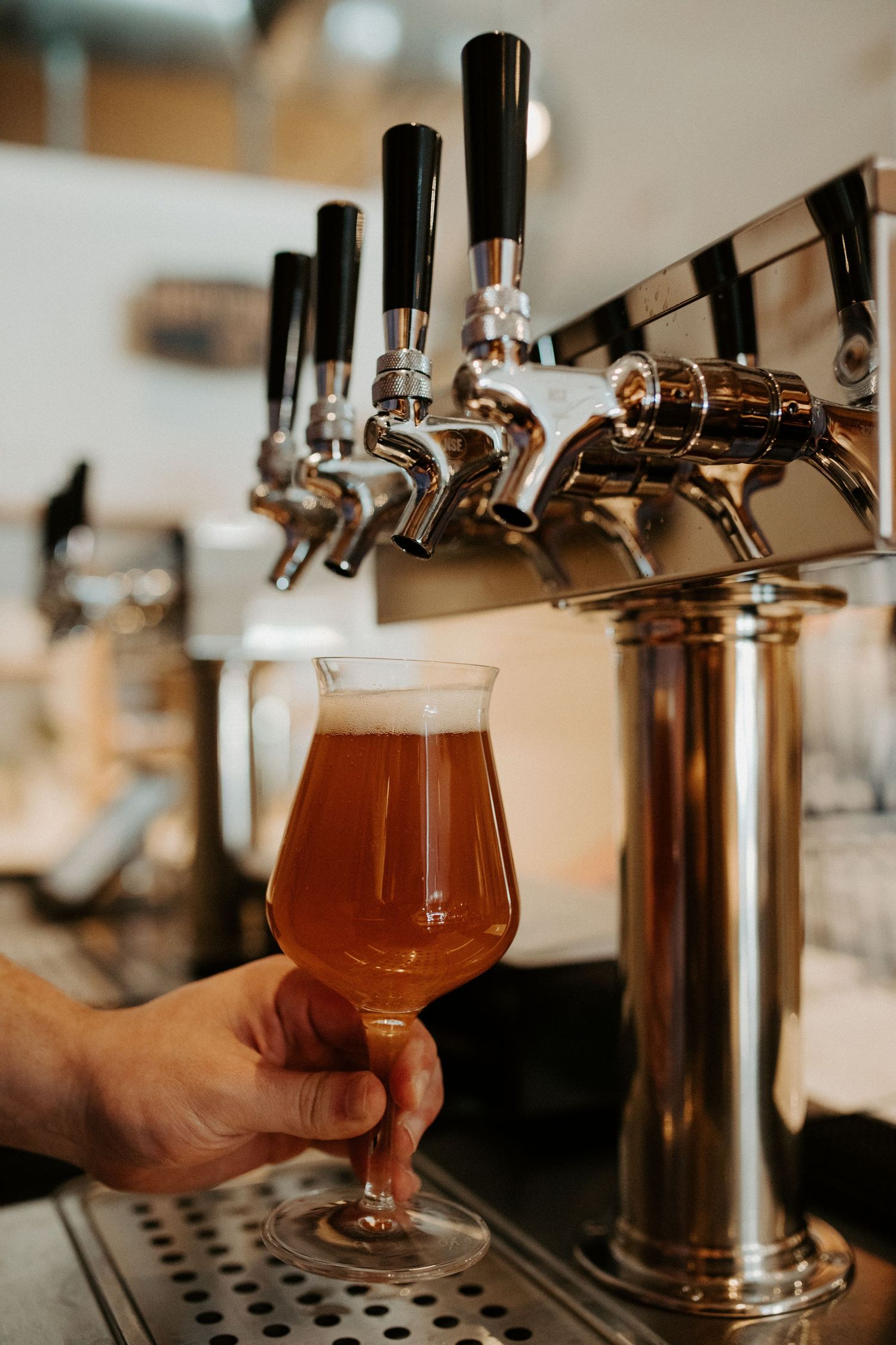 Hand holding a tulip glass of golden craft beer beneath a row of chrome taps at a brewery bar.