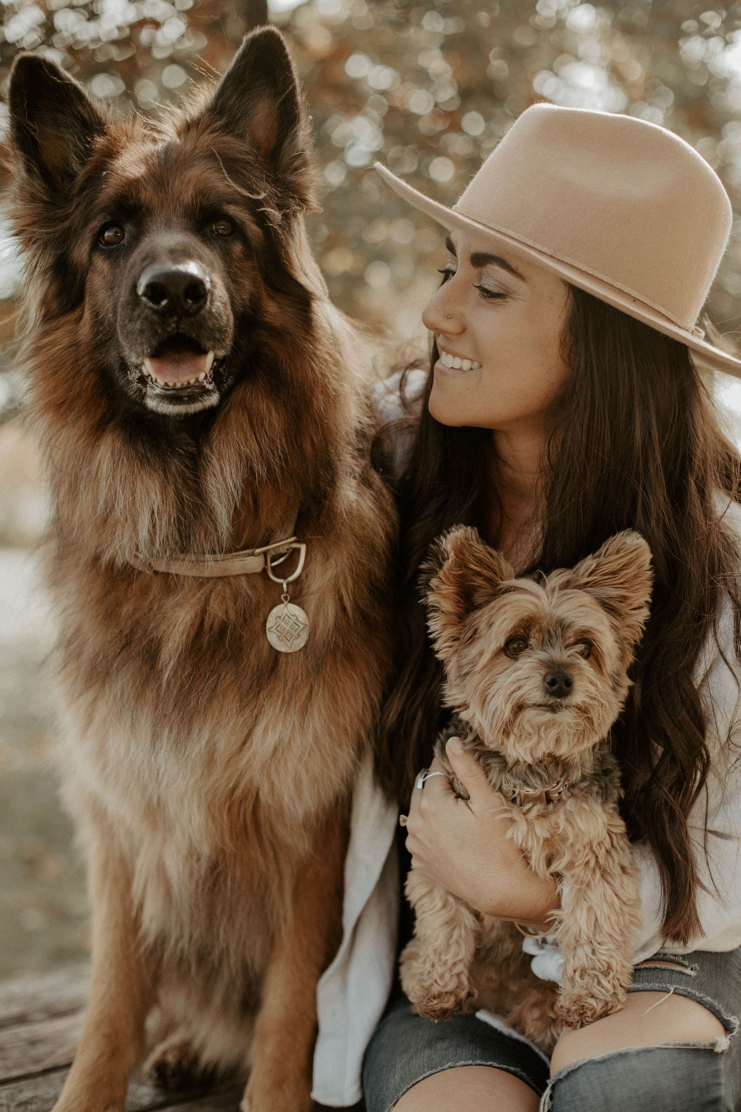 Smiling woman in a wide-brim hat sits between a large German Shepherd and a small Yorkie in warm autumn light outdoors.