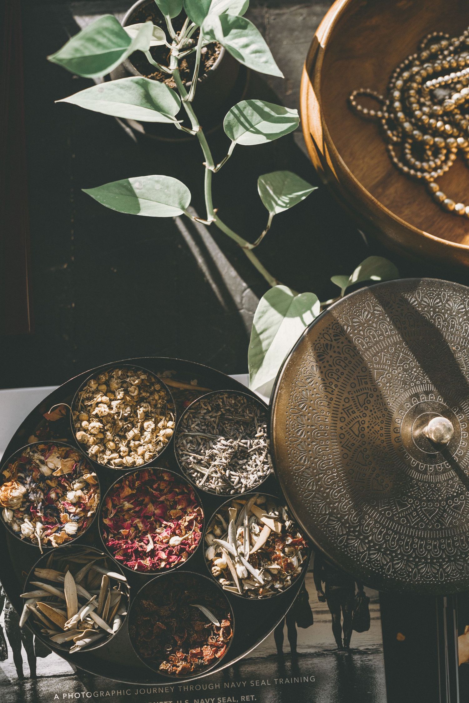 Metal spice tin filled with dried herbs, flowers and roots beside a green plant, wooden prayer beads and an engraved brass lid.