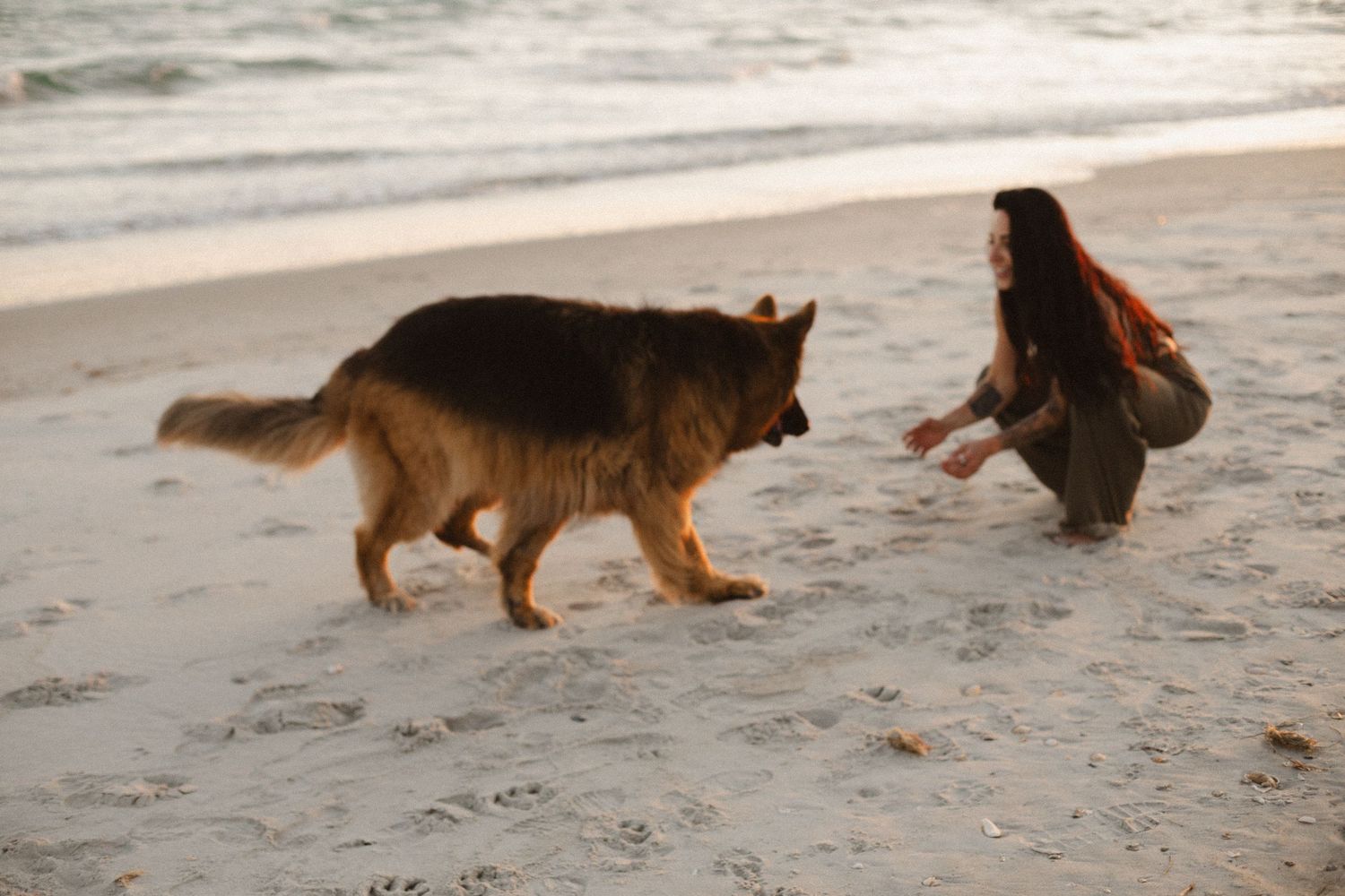 German Shepherd dog plays on the sand while a crouching woman reaches out to it near the ocean shore.