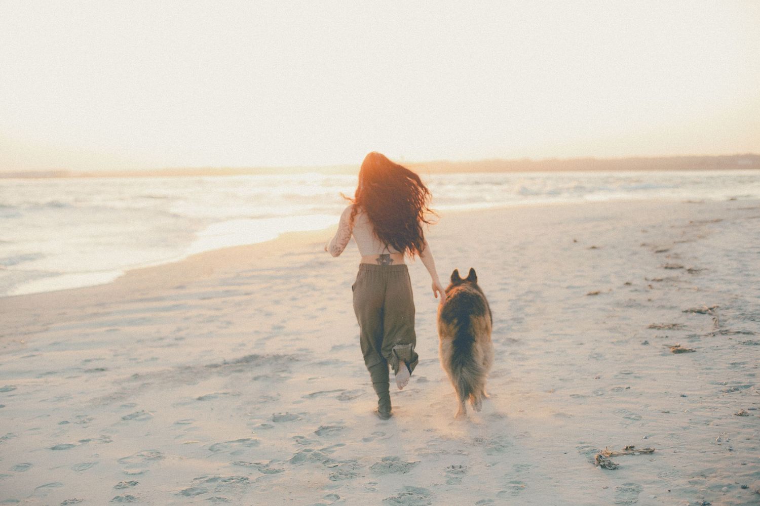 Woman with long dark hair runs along a sunlit beach with her German Shepherd dog at sunrise.