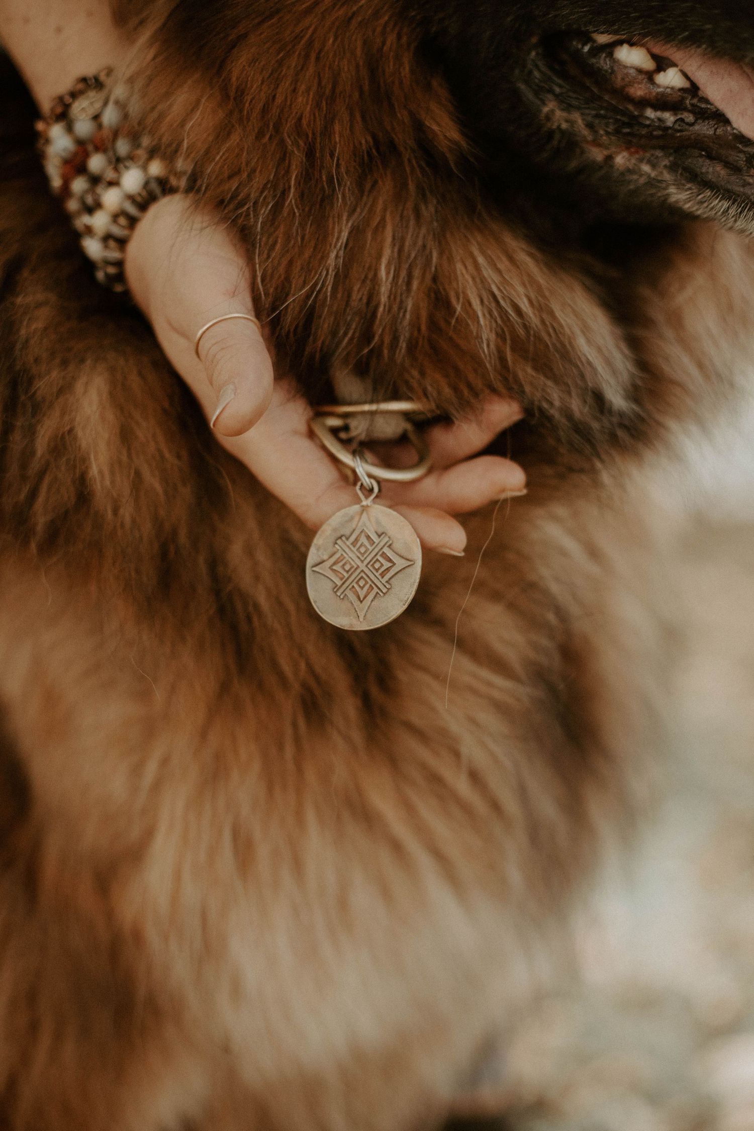 Close-up of a hand with gold rings and beaded bracelets holding a round engraved pet tag on thick brown dog fur.