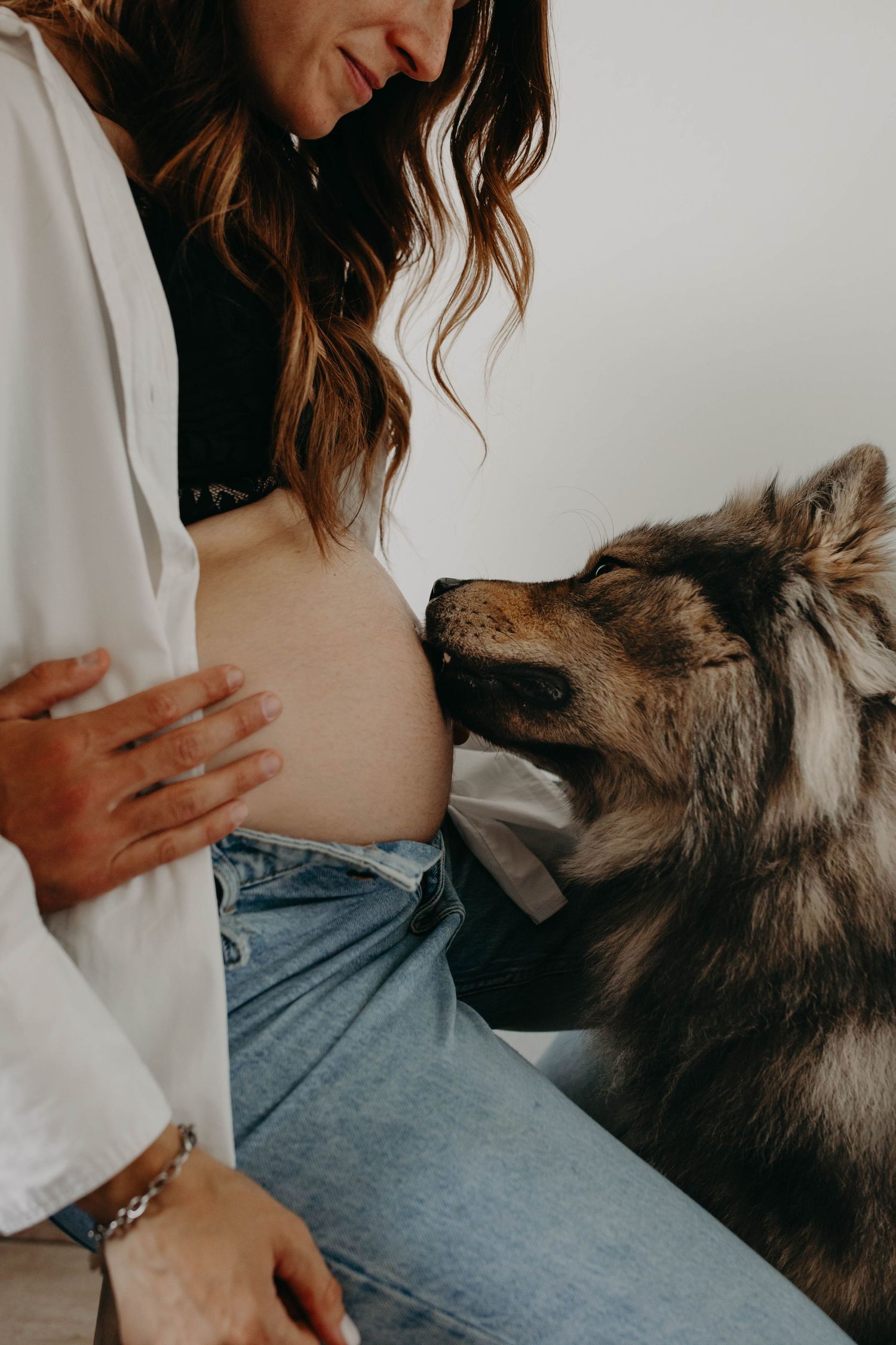 parents et leur chien, le chien lèche le ventre de la femme enceinte