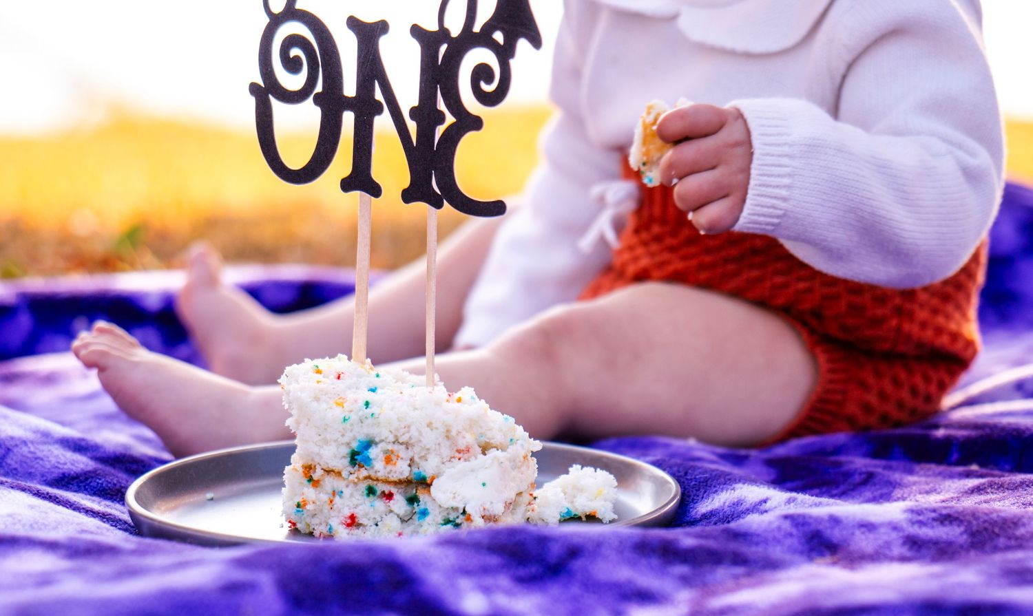 Milestone one year old photoshoot with photographer located throughout the Kansas City Metro area. Based in Blue Springs, Missouri.