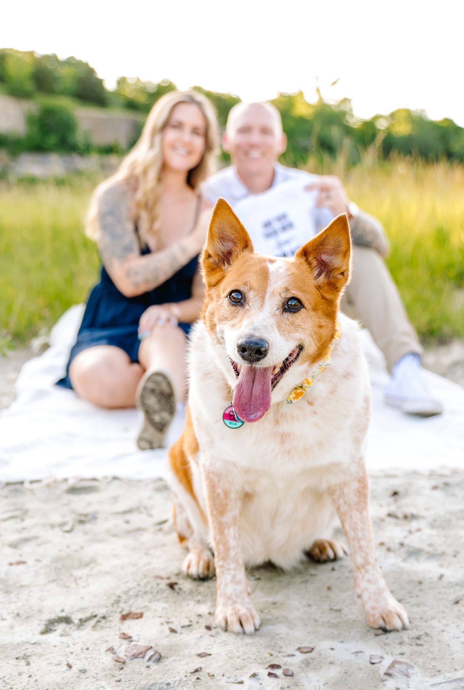 Pregnancy announcement photographer located throughout the Kansas City Metro area. Based in Blue Springs, Missouri.
