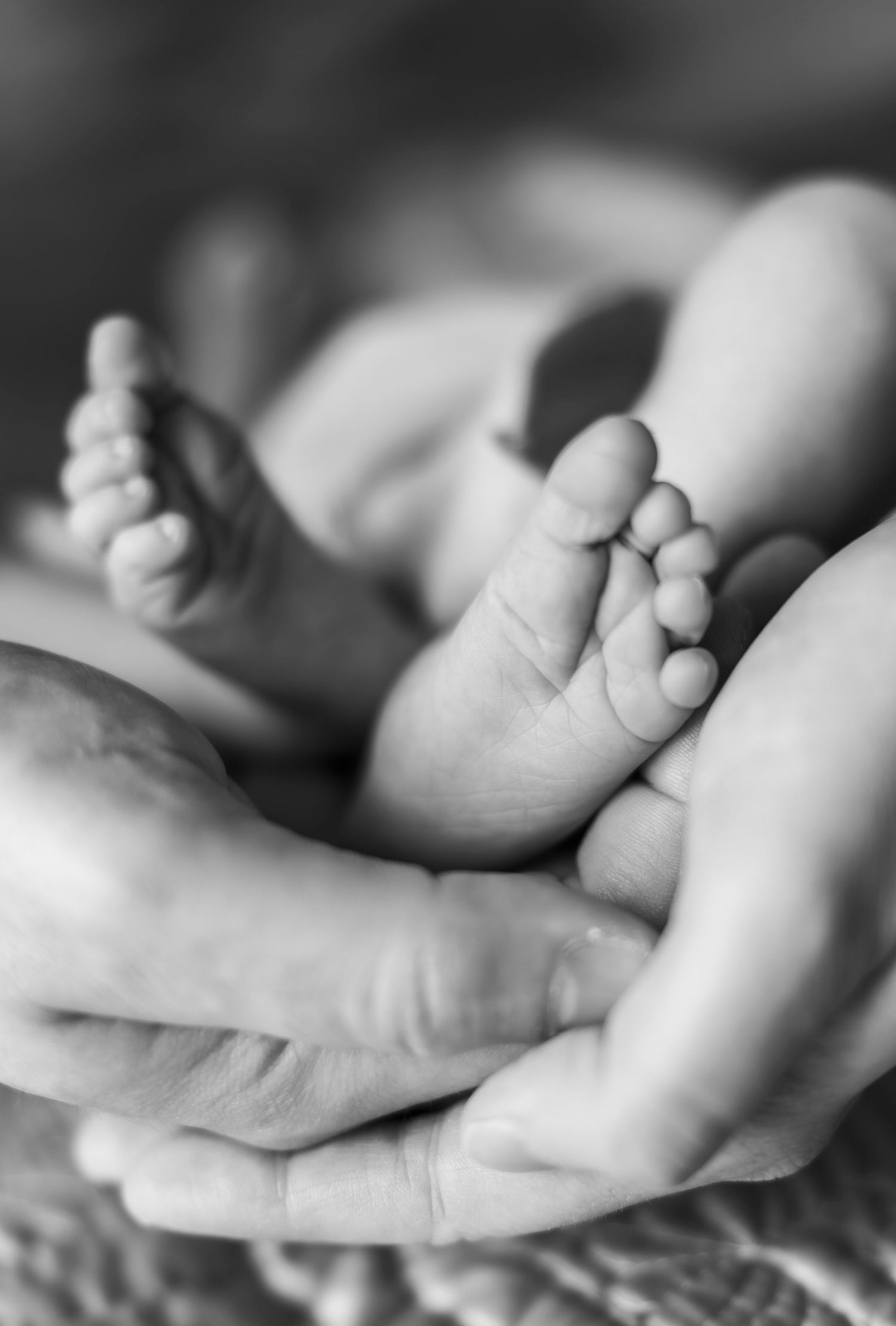 Newborn detailed photoshoot with photographer located throughout the Kansas City Metro area. Based in Blue Springs, Missouri.